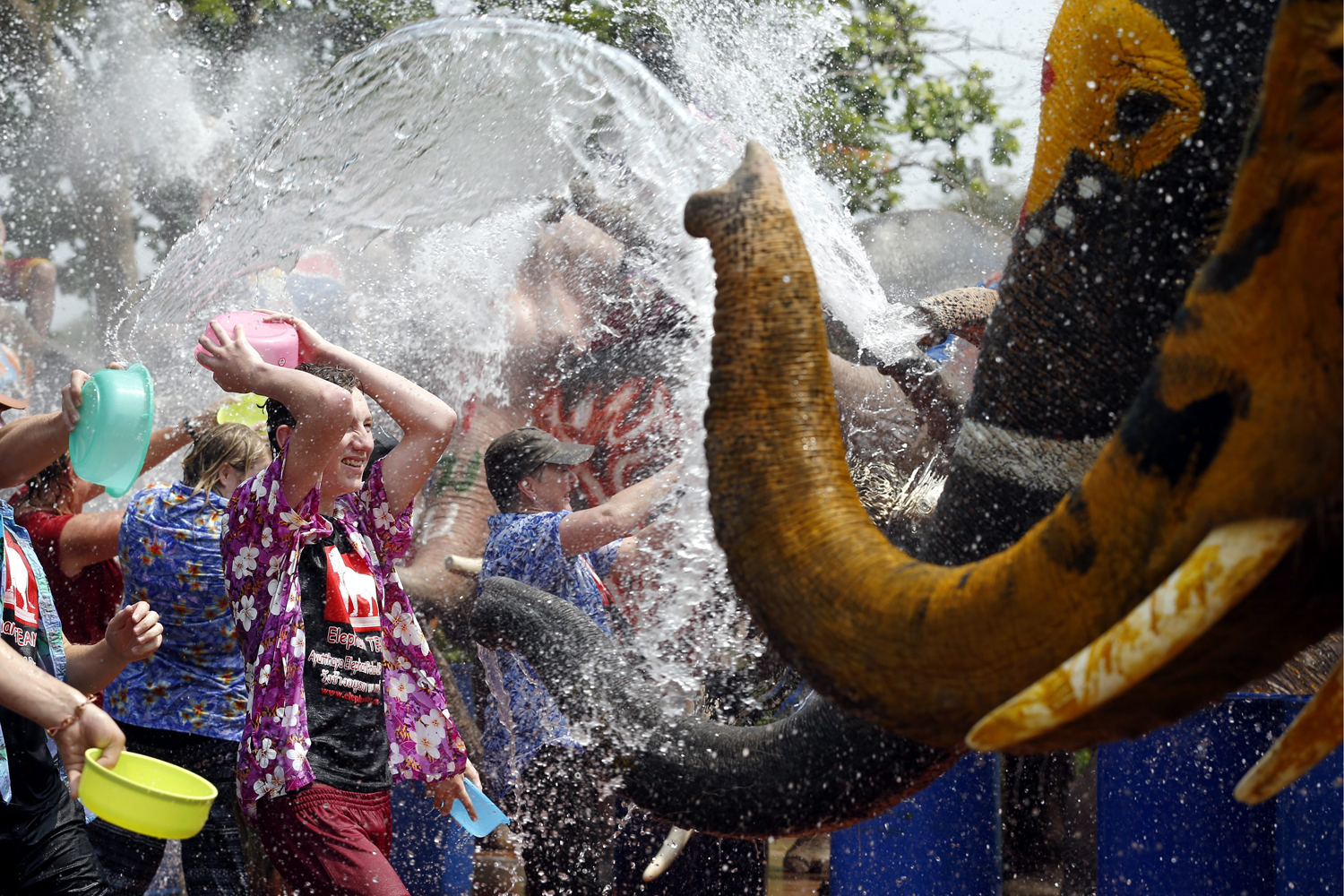 Thai elephant sprays water at tourists to celebrate Songkran festival