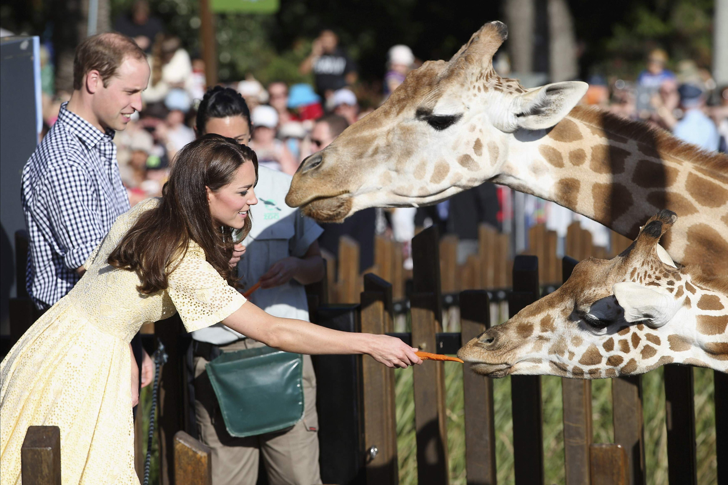 Prince William and Catherine, Duchess of Cambridge, feed giraffes at Sydney's Taronga Zoo