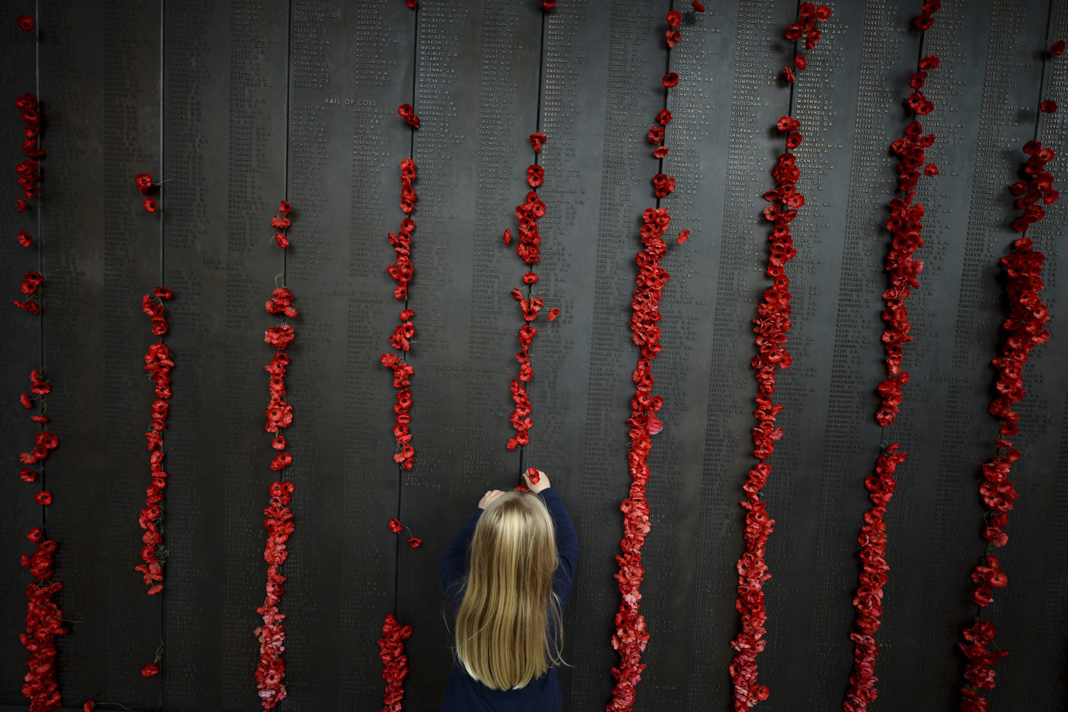 Apr. 25, 2014. A little girl places a poppy on the Roll of Honour at the Australian War Memorial in Canberra, Australia. This year marks the 99th anniversary of Australian forces landing at Gallipoli.