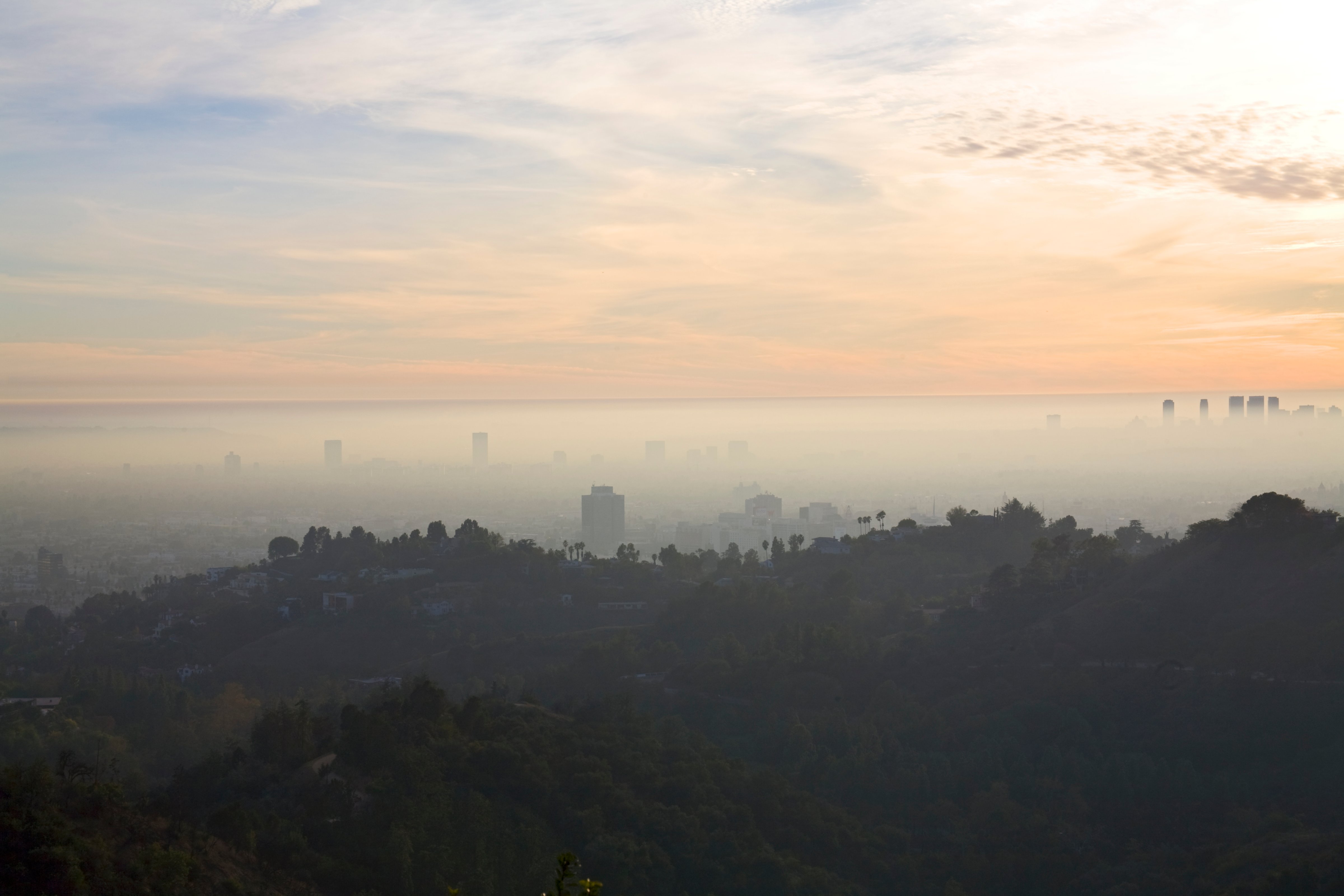 A view of the Hollywood Hills with smog and fog (Universal / Getty Images)