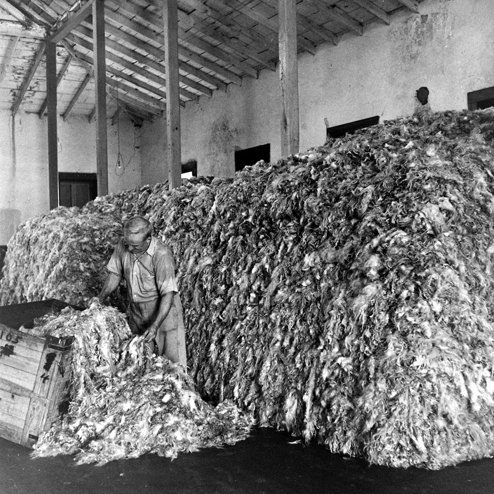 Mohair warehouse, Texas, 1942.