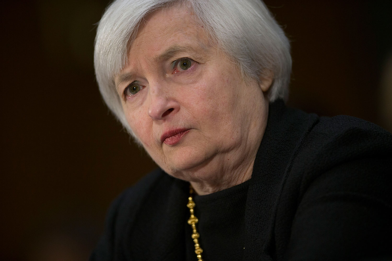 Janet Yellen Testifies At Senate Banking Committee Nomination Hearing For Fed Chairmanship