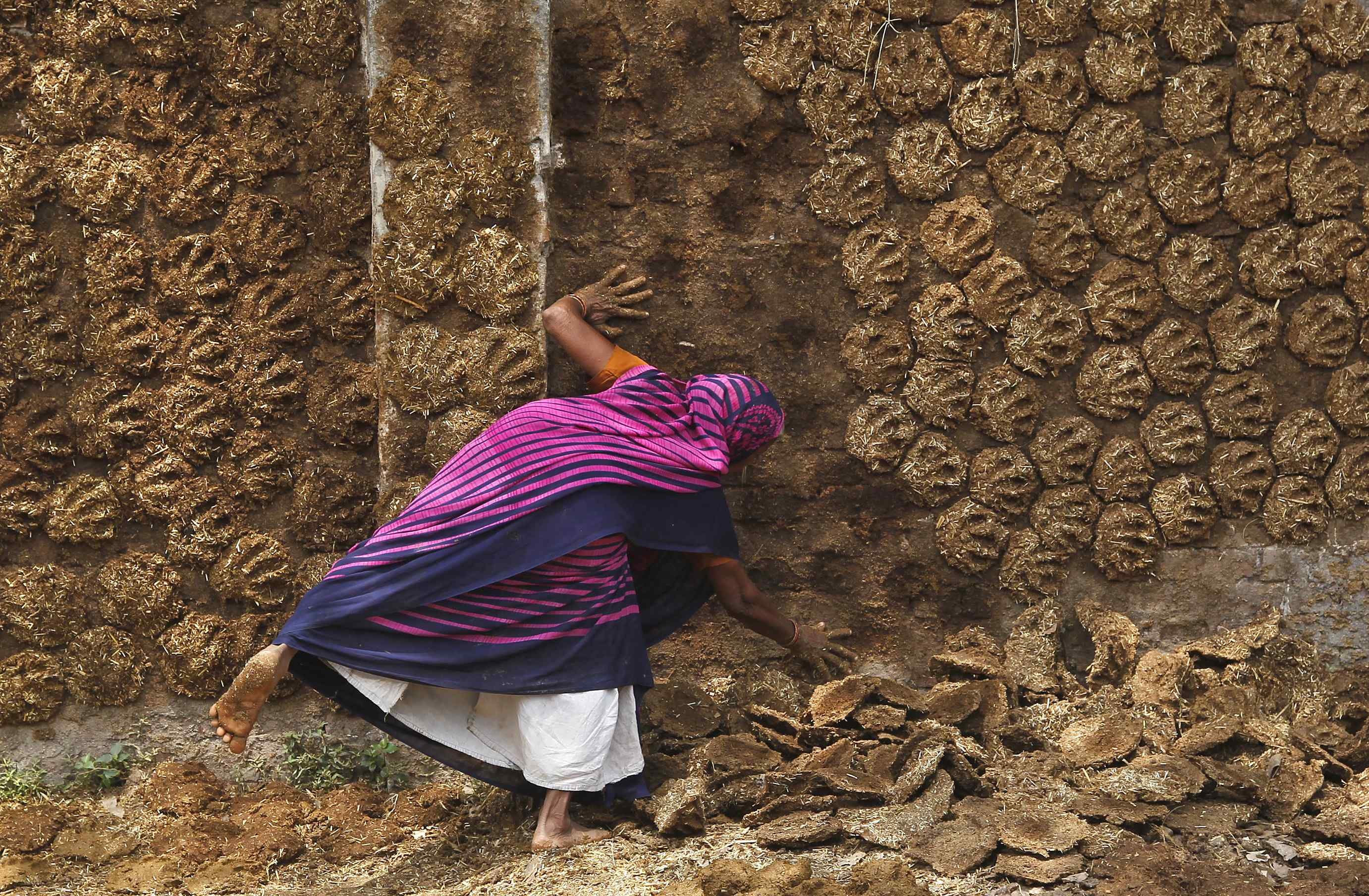 Apr. 16, 2014. A woman pastes cow dung cakes on a wall for drying in the northern Indian city of Allahabad.