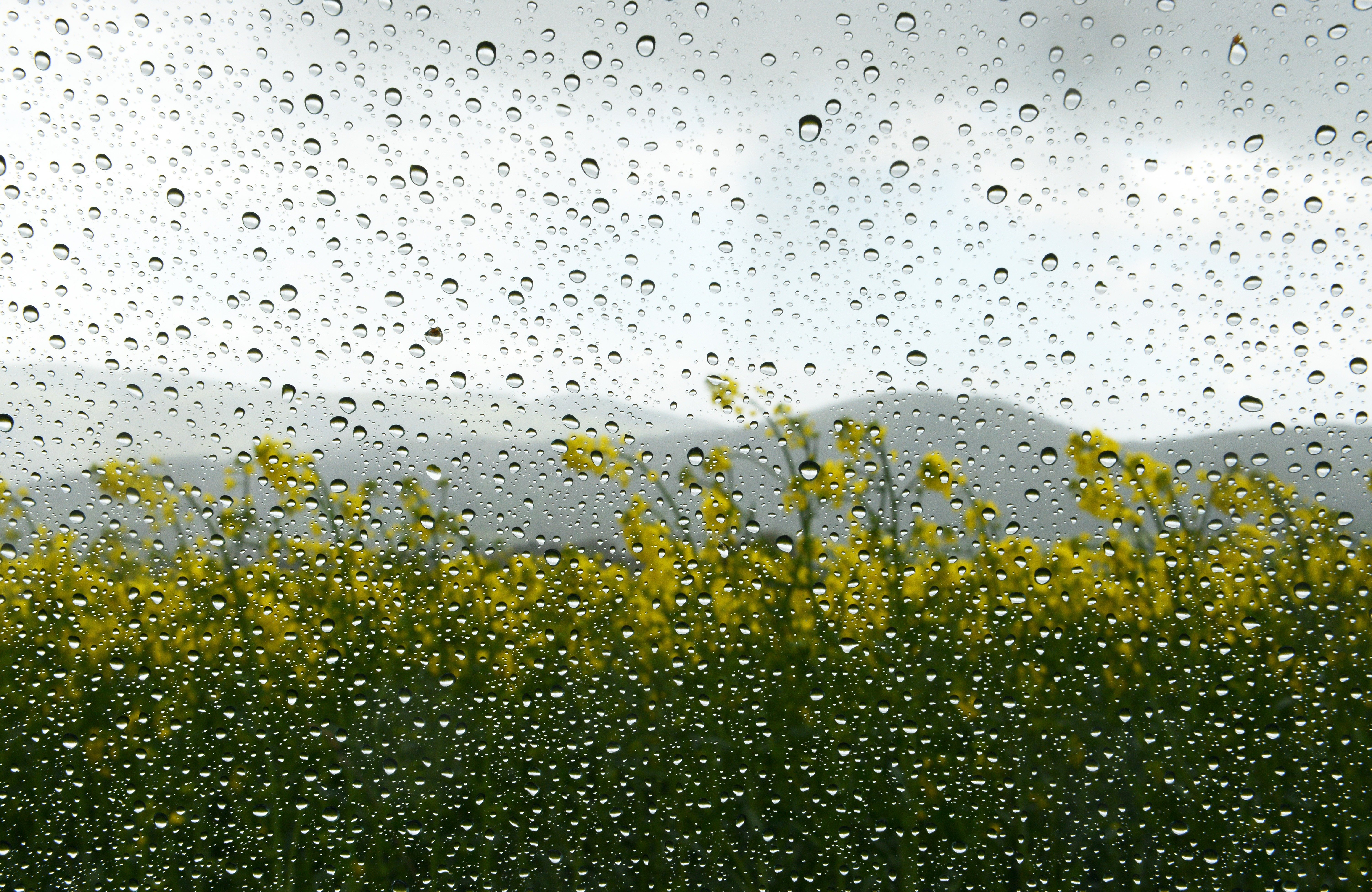 Apr. 14, 2014. Rain drops cover the window of the front passenger seat of a car near Lieschenruh, Germany.