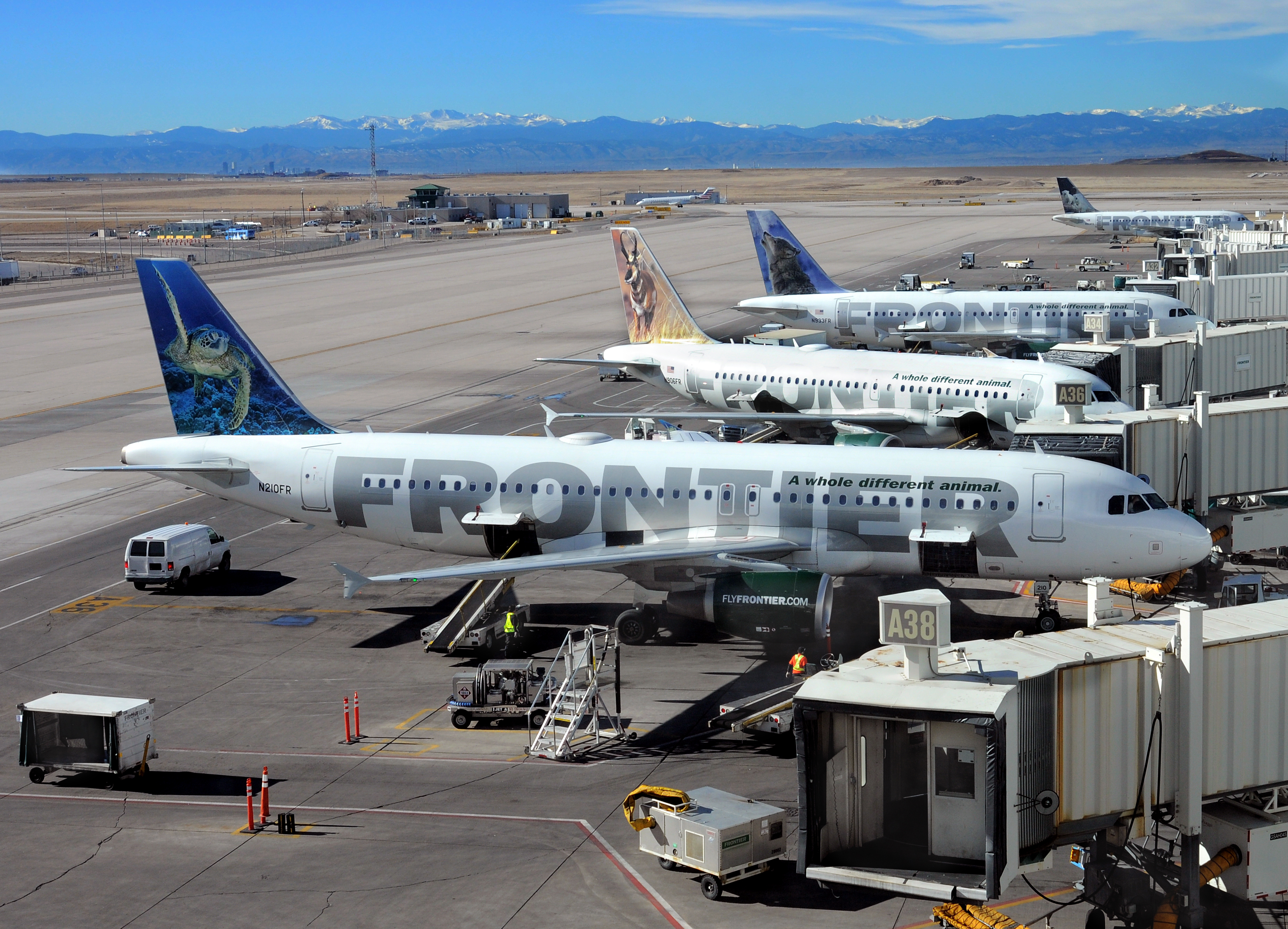 Frontier Airlines planes are loaded and serviced at the gates at Denver International Airport in Denver, Colorado. (Robert Alexander—Getty Images)