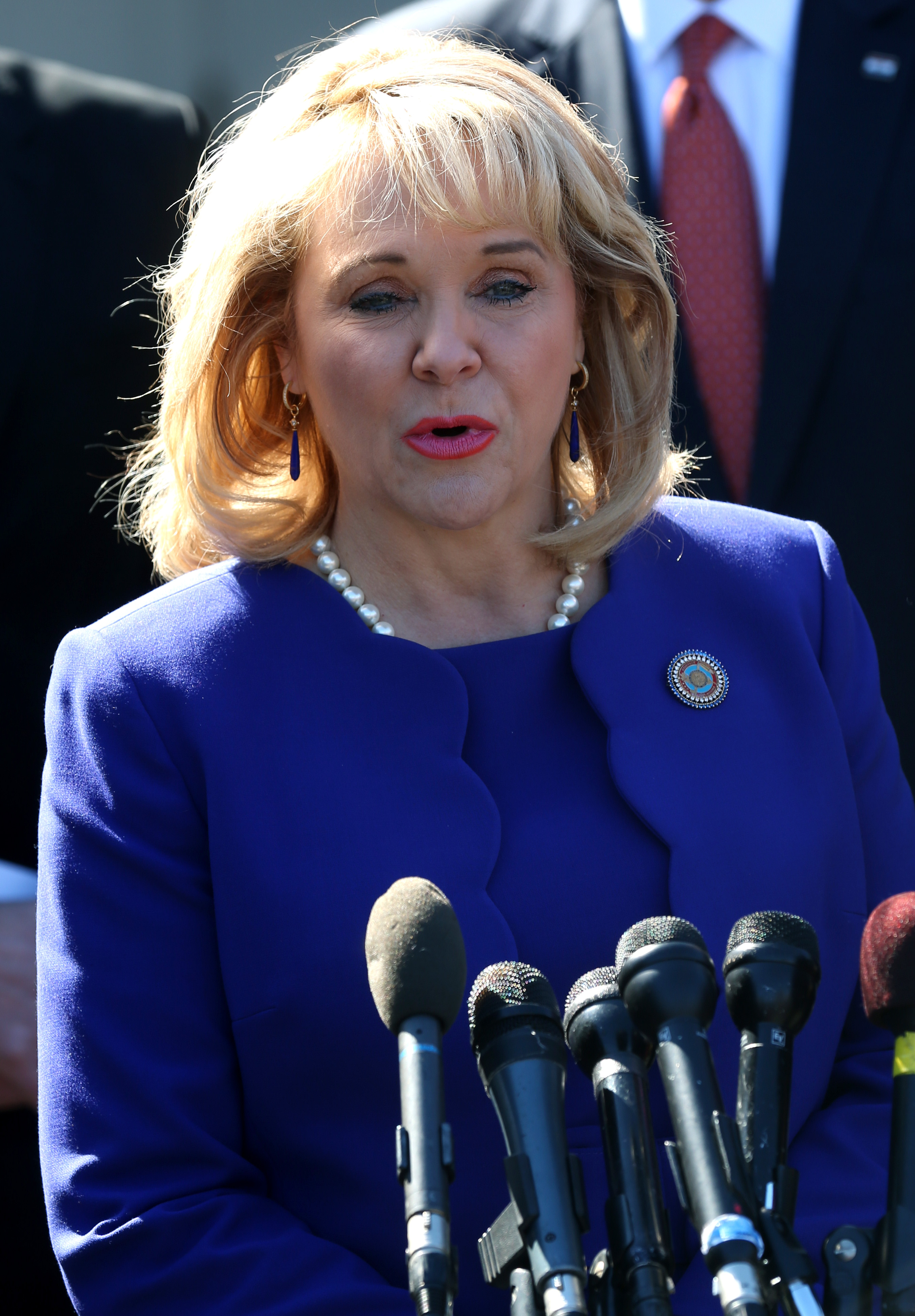 Gov. Mary Fallin on February 24, 2014 in Washington, DC. (Mark Wilson—Getty Images)
