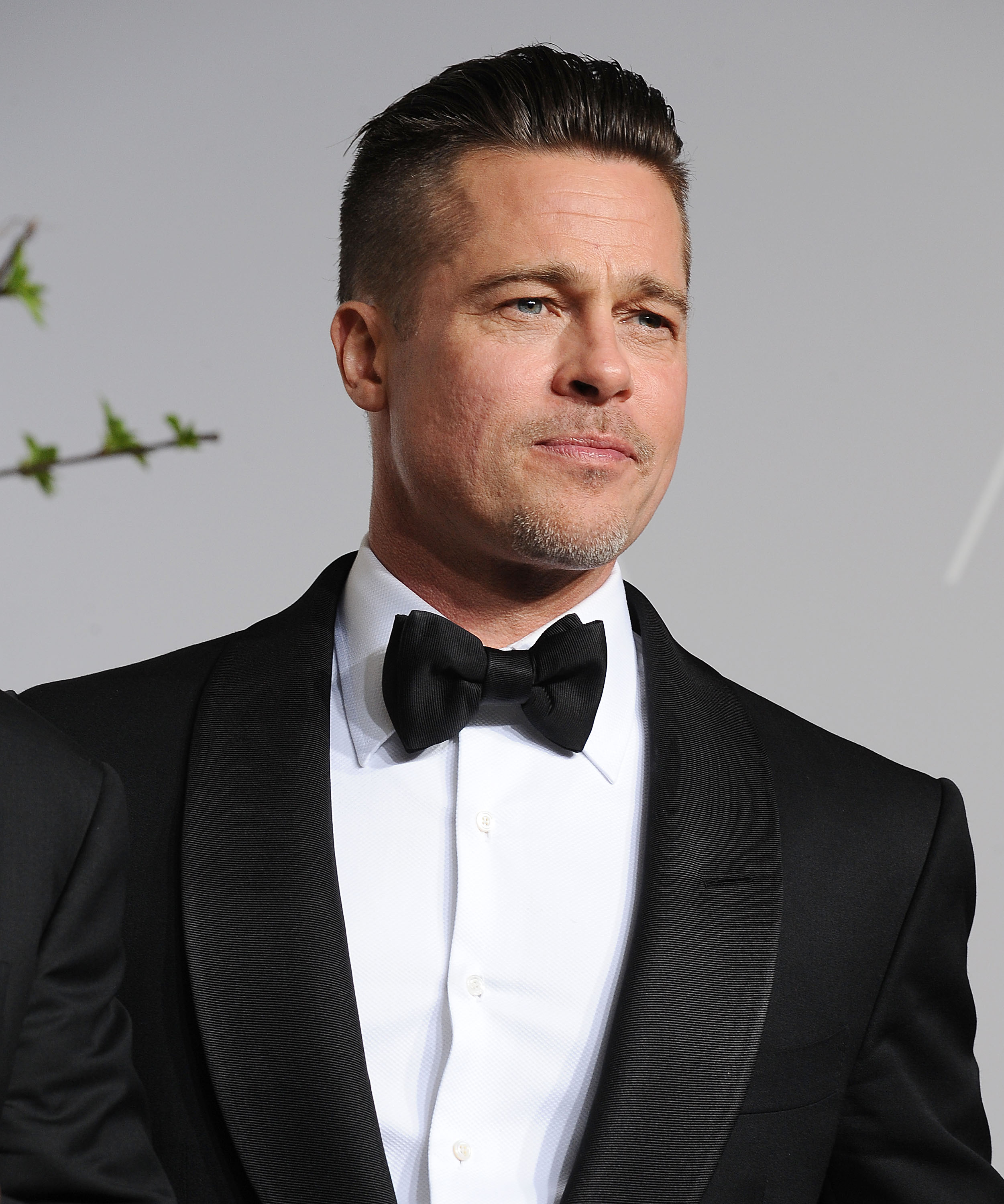 Brad Pitt (Jason LaVeris—WireImage)