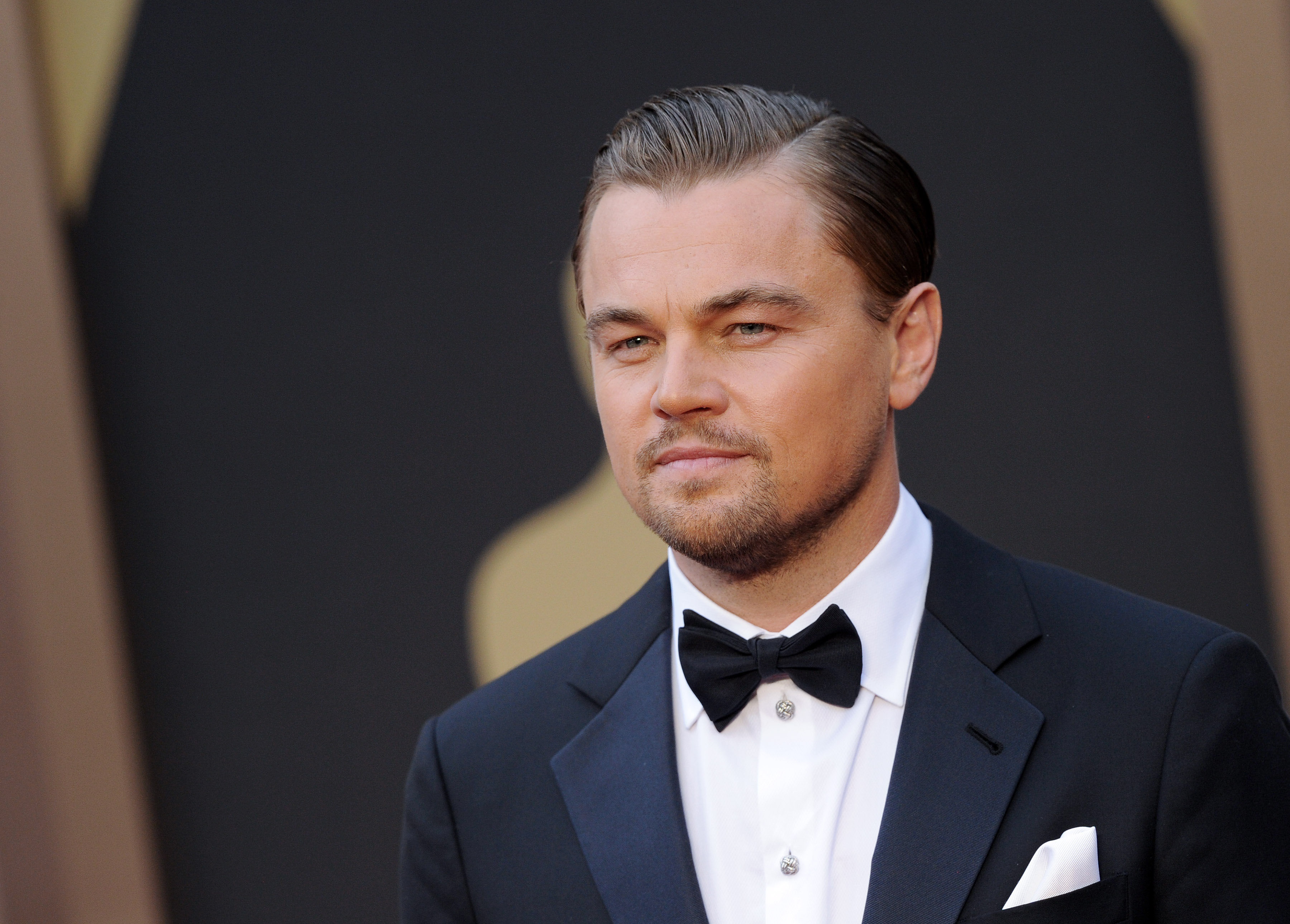 Leonardo DiCaprio arrives at the 86th Annual Academy Awards on March 2, 2014 in Hollywood.
