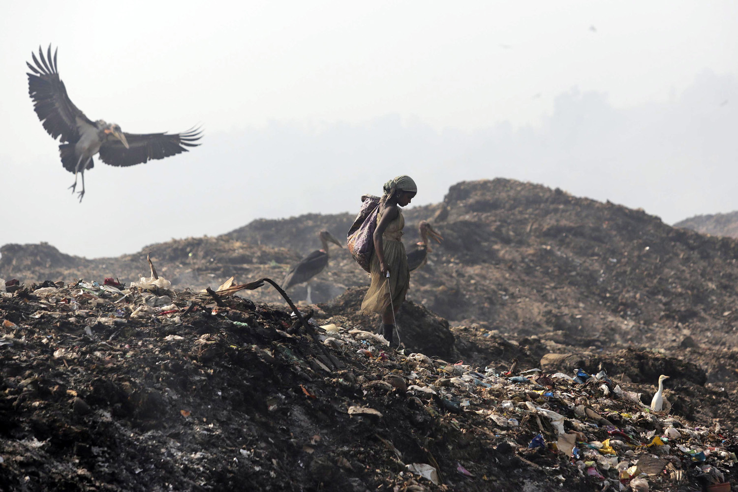 Apr. 22, 2014. A Greater Adjutant Stork flies by a ragpicker looking for recyclable items at a garbage dump on Earth Day, on the outskirts of Gauhati, India.