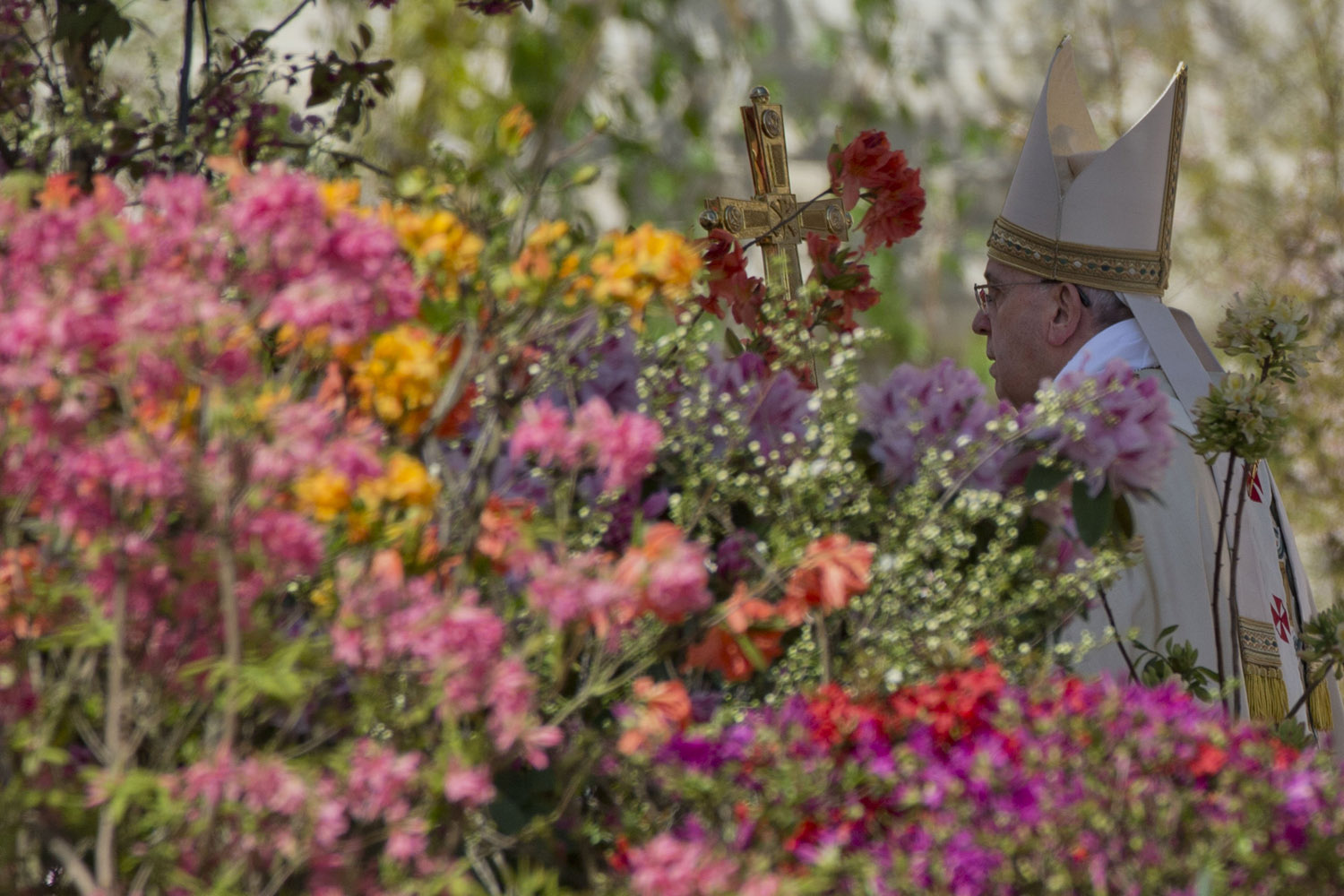 Apr. 20, 2014. Flowers from the Netherlands decorate St. Peter's Square as Pope Francis arrives to celebrate an Easter Mass in St. Peter's Square at the the Vatican.