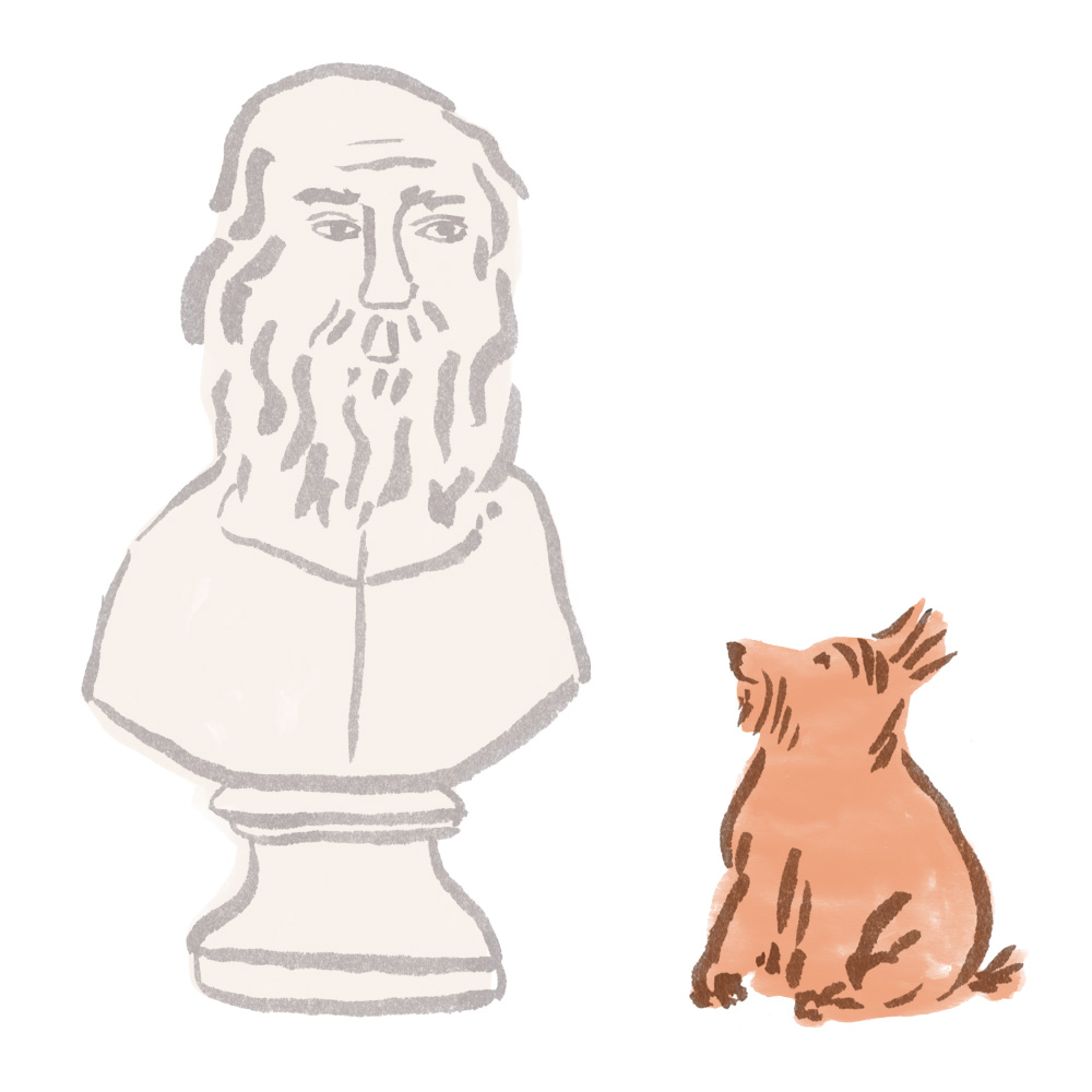 Dog looking at a bust