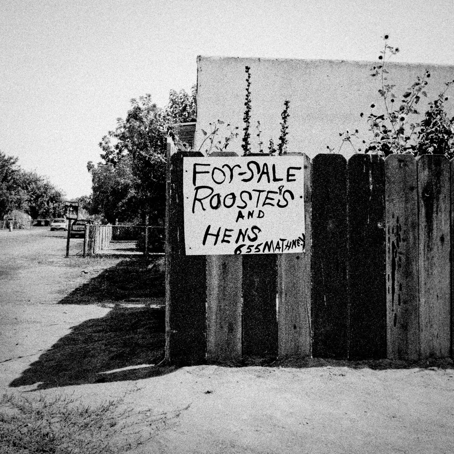 Sale sign. Tulare, CA. 36°12’27”N 119°20’50”W #geographyofpoverty
                              
                              Tulare is a city in Tulare County, California, United States. The population was 59,278 at the 2010 census. Residents have a $18,203 per capita income and 20.2% live below the poverty level.