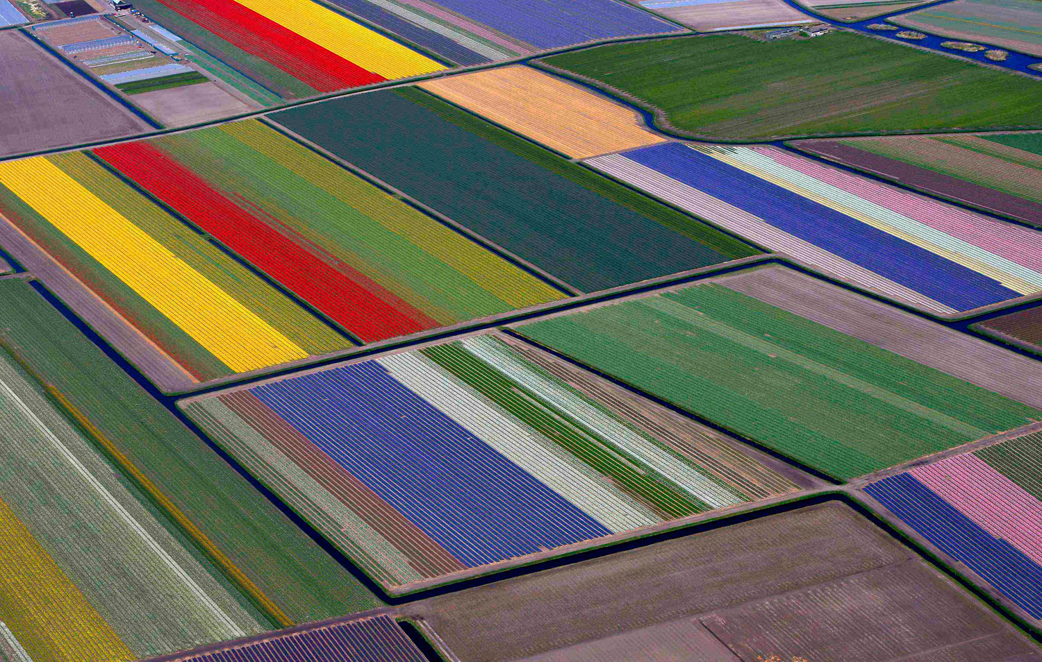 An aerial view of flower fields near the Keukenhof park, in Lisse, Netherlands, on April 9, 2014.