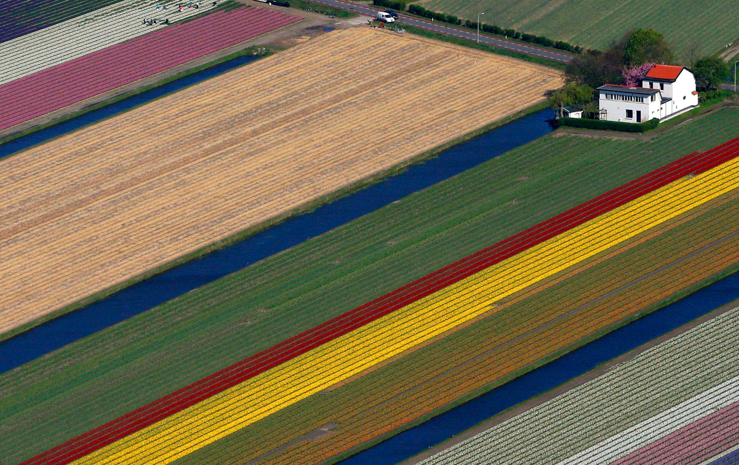 An aerial view of flower fields near the Keukenhof park, in Lisse, Netherlands, on April 9, 2014.