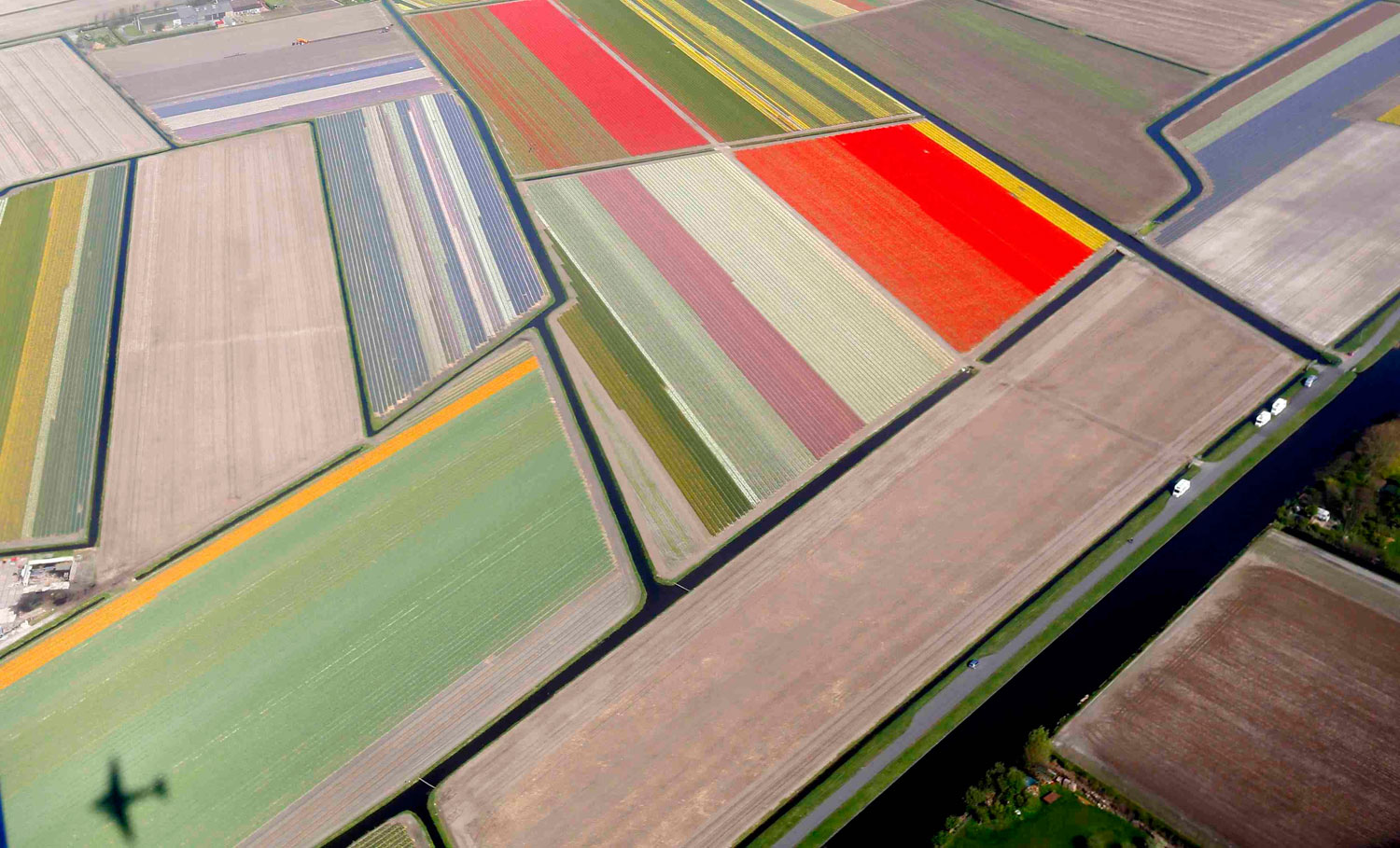 Aerial view of flower fields near the Keukenhof park, also known as the Garden of Europe, in Lisse, Netherlands, on April 9, 2014.