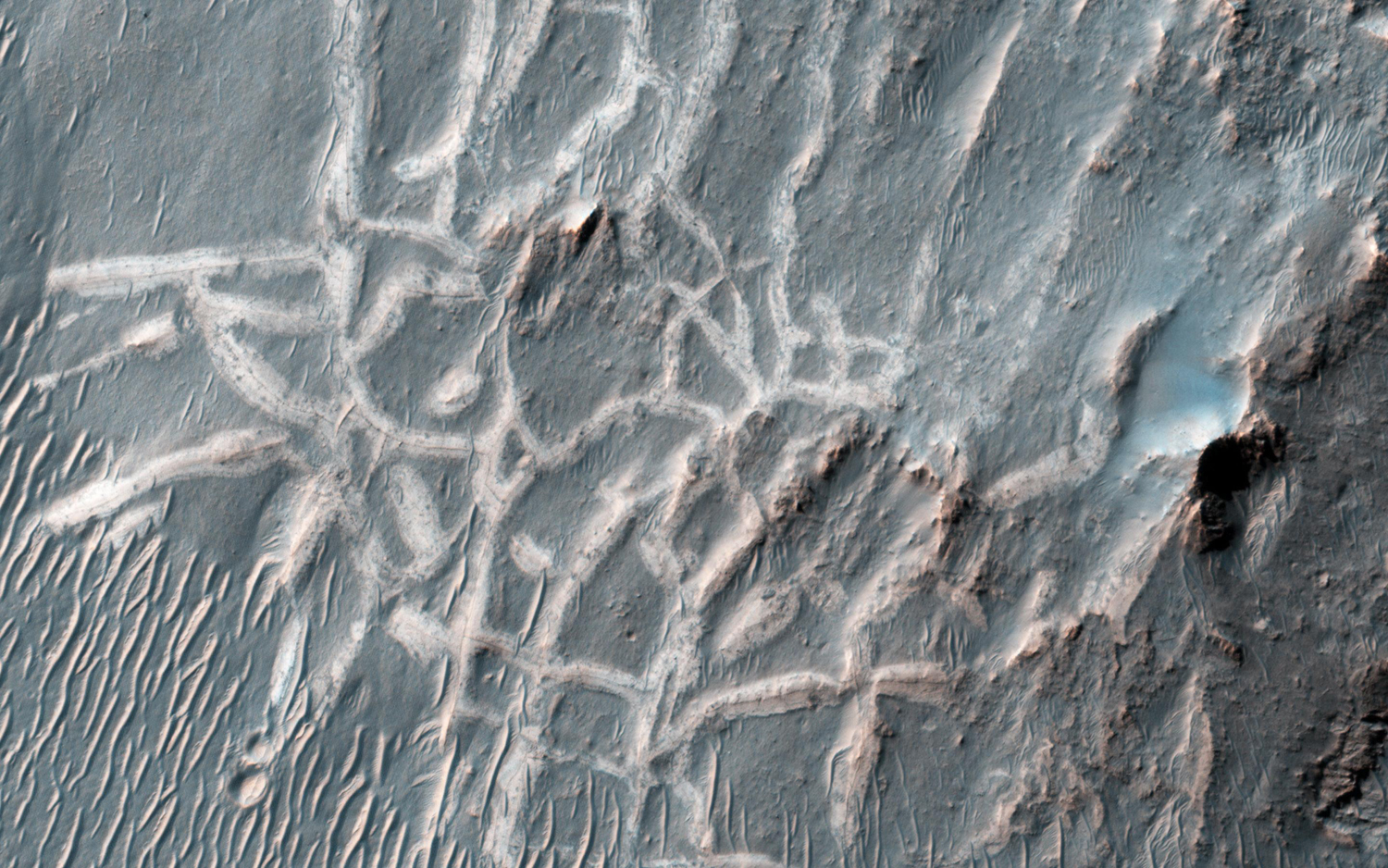 This image released on March 5, 2014 shows ridges east of Holden Crater on Mars, with hair-line fractures along the axis of each ridge. Scientists are not sure how they formed, but possible explanations suggest that mineral-rich ground water flowed out of the fractures and deposited minerals at or near the surface as the water evaporated.