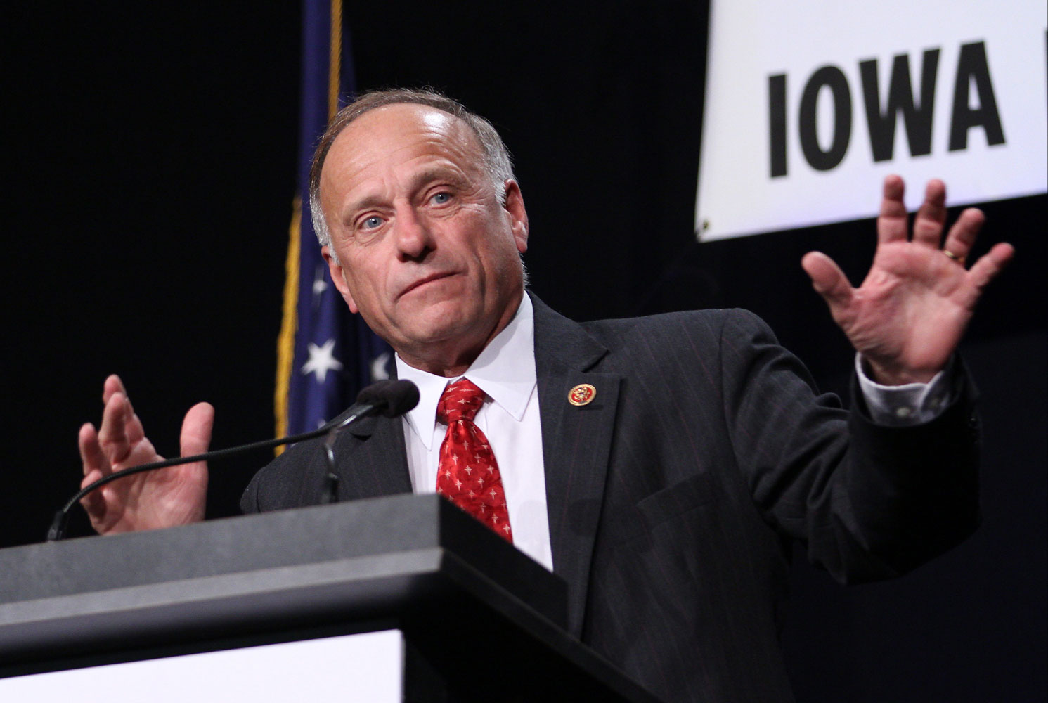 Rep. Steve King speaks during the Iowa Faith and Freedom Coalition's Friends of the Family Banquet in Des Moines, Iowa, Nov. 9, 2013.