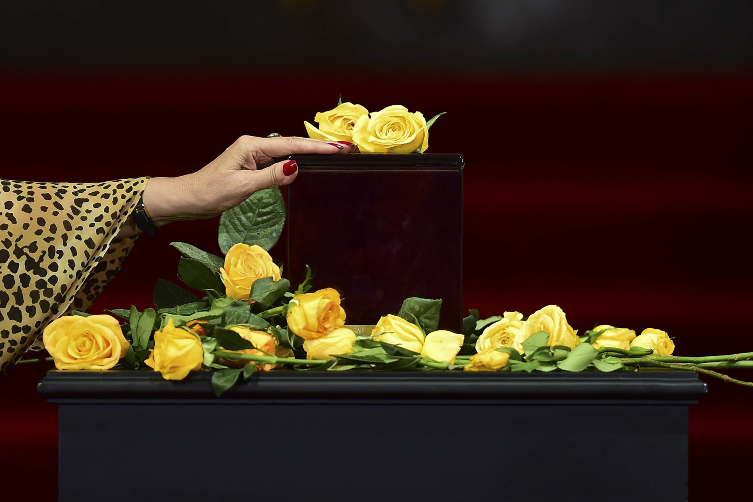 Apr. 21, 2014. 
                              A woman touches the urn containing the ashes of Colombian novelist Gabriel Garcia Marquez, during a tribute ceremony at the Fine Arts Palace in Mexico City.