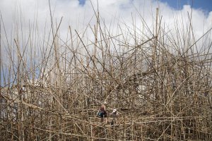 Big Bambu art installation set up at Israel Museum