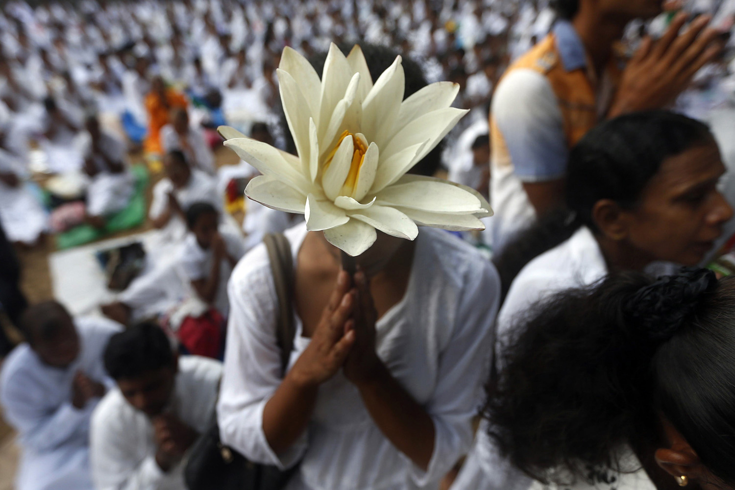 A Buddhist devotee worships at Kelaniya temple in Colombo on Vesak Day on May 14, 2014.