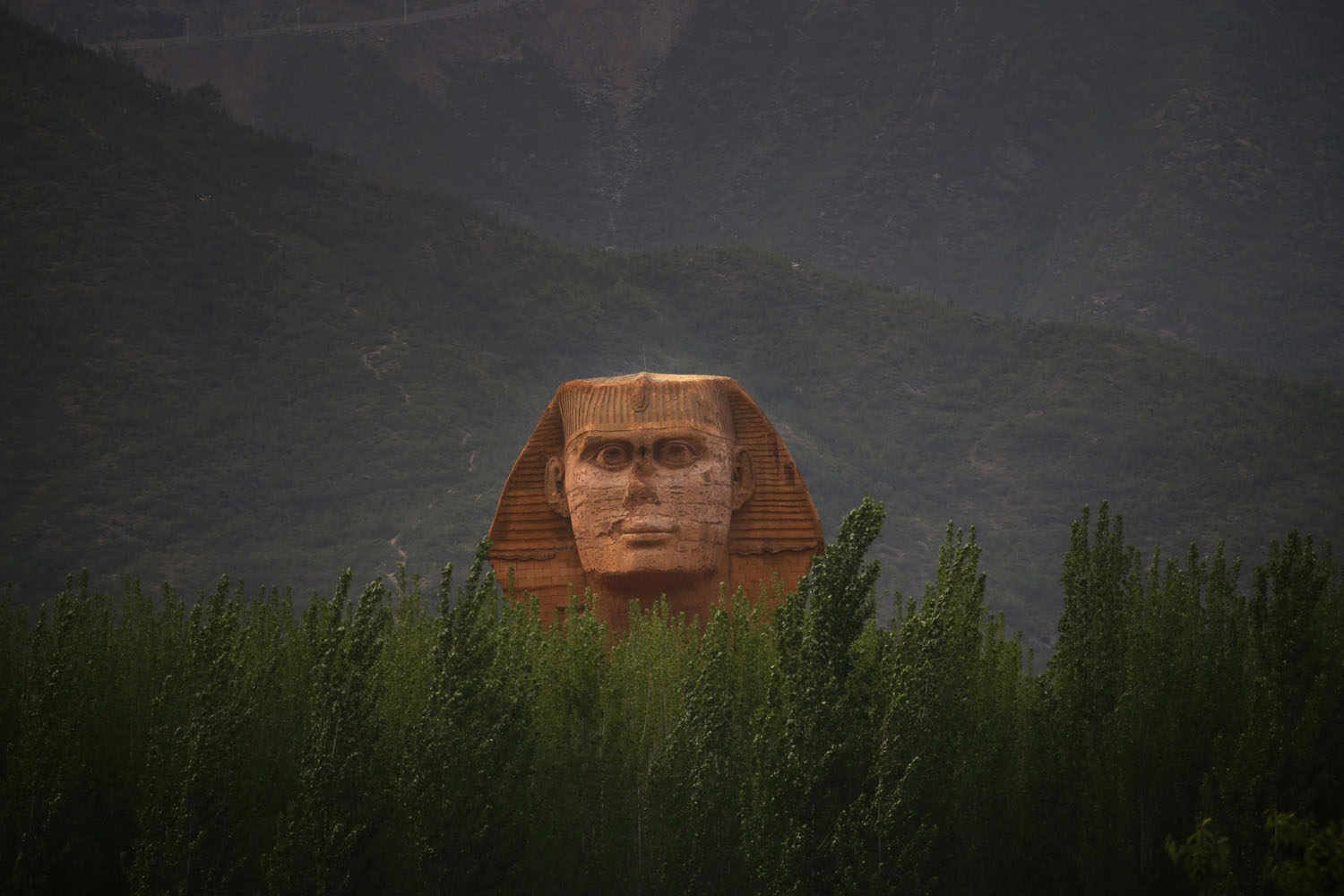 The head of a full-scale replica of the Sphinx, which is part of an unfinished theme park, behind trees on the outskirts of Shijiazhuang, Hebei province, China, on May 15, 2014.
