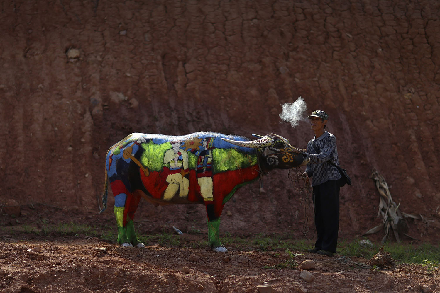 A man smokes as he waits with his painted buffalo before a buffalo bodypainting competition in Jiangcheng county, Yunnan province