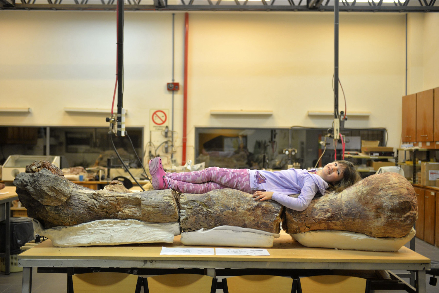 A young girl named Marlene lies over the original fossilized femur of a dinosaur displayed on exhibition at the Egidio Feruglio Museum in the Argentina's Patagonian city of Trelew on May 18, 2014.