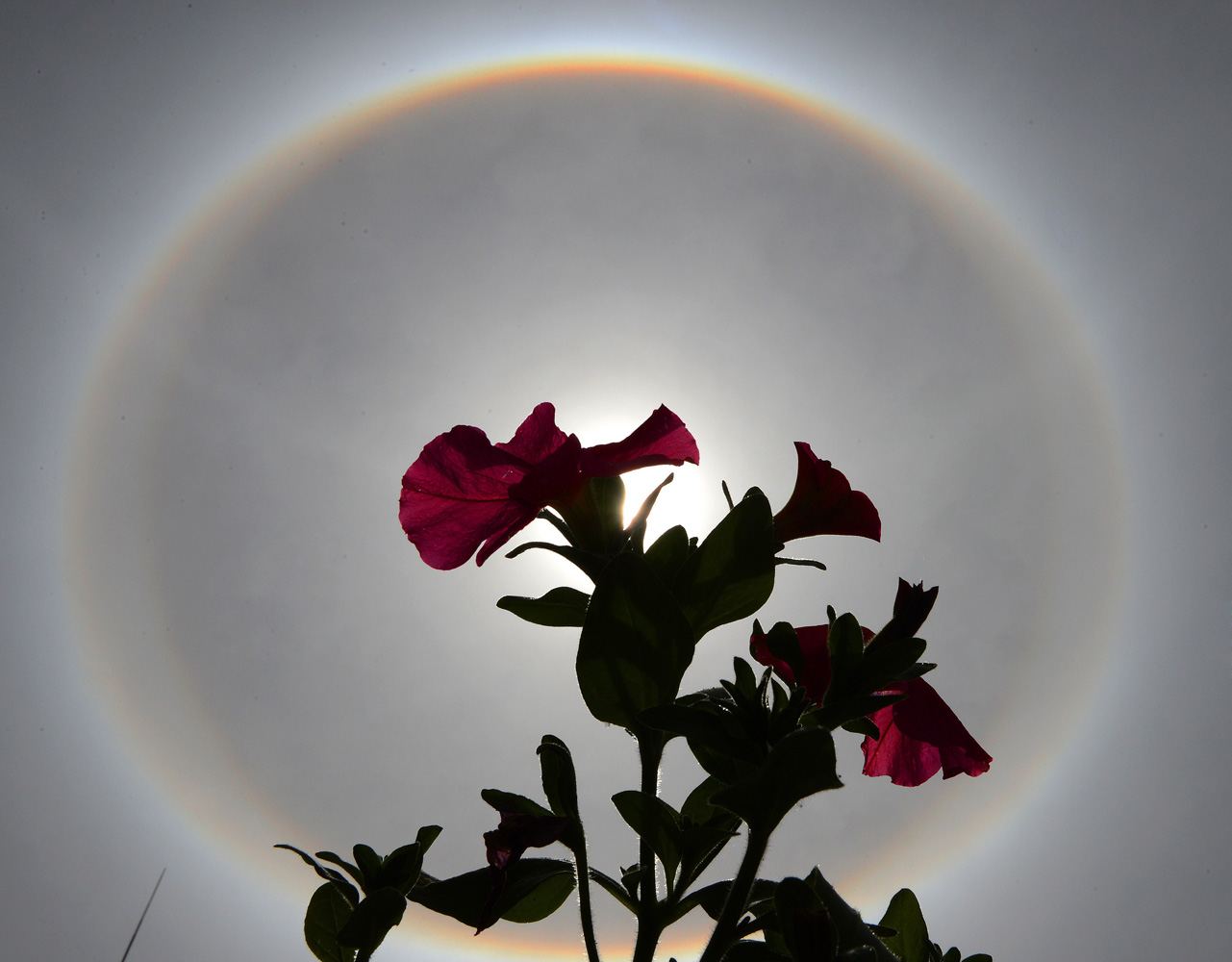 May 5, 2014. A solar halo appears in the sky over Lhasa, the capital of southwest China's Tibet Autonomous Region.