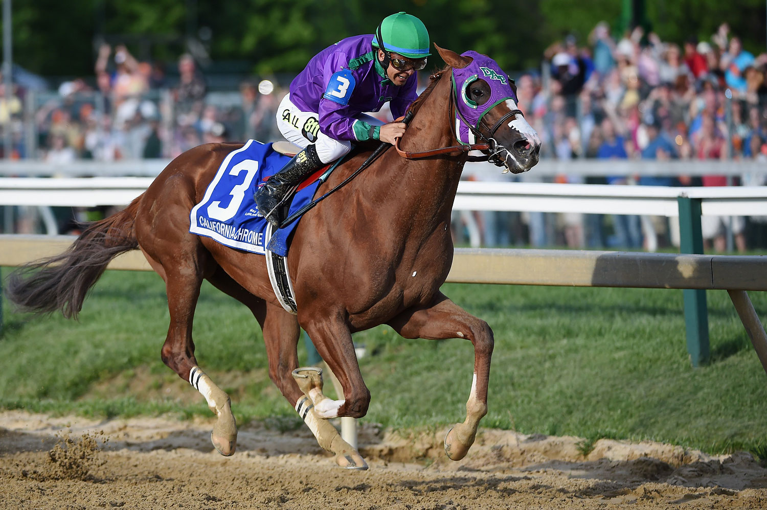 California Chrome #3, ridden by Victor Espinoza, head to the finish line enroute to winning the 139th running of the Preakness Stakes at Pimlico Race Course on May 17, 2014 in Baltimore. (Molly Riley—Getty Images)