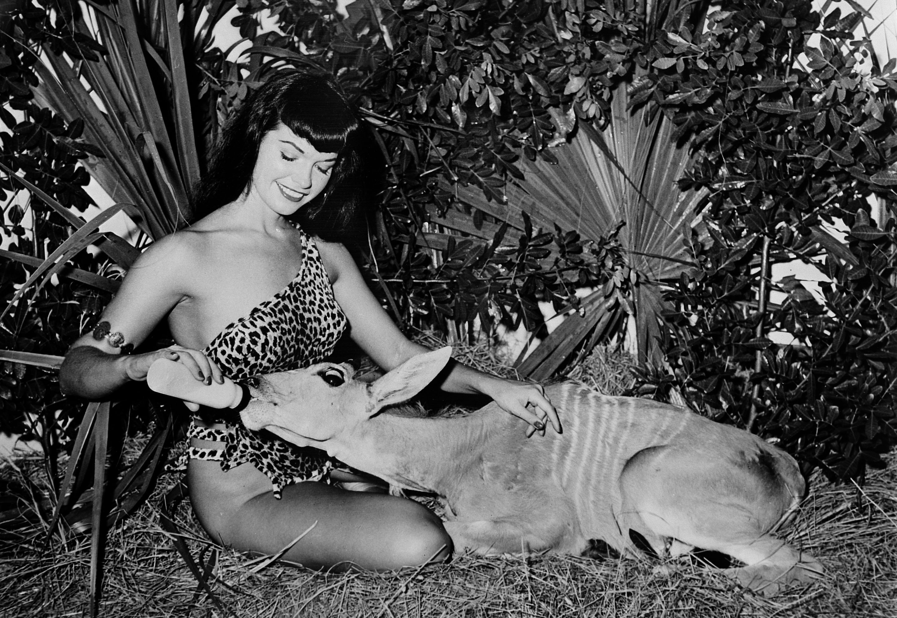 American pin-up model Bettie Page feeds a young Eland calf while on a modeling assignment at Africa USA, a wildlife park in Boca Raton, Fl. (Bunny Yeager—Popperfoto/Getty Images)