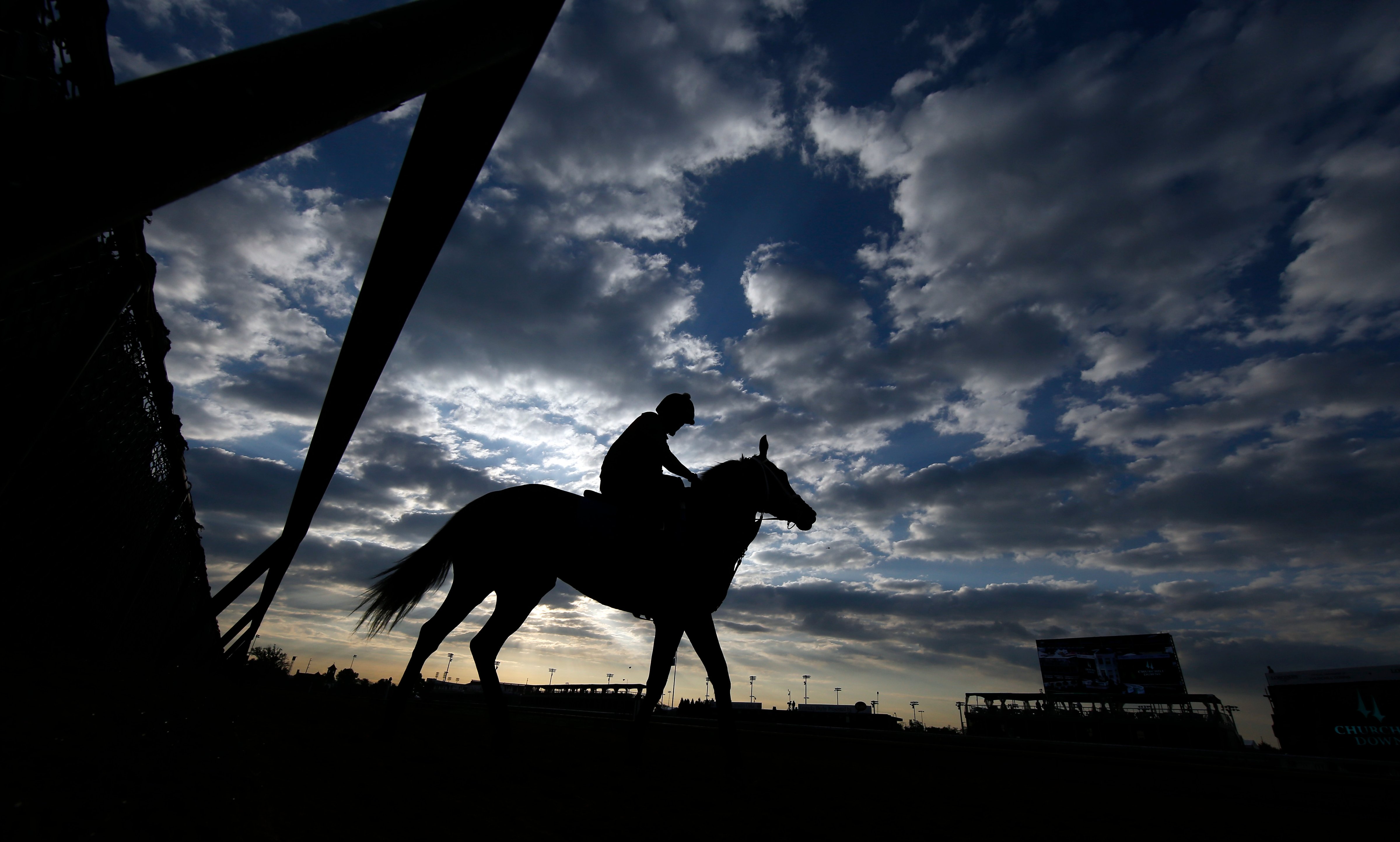 A horse goes for a workout at Churchill Downs prior to the race, May 3, 2014, in Louisville, Ky. (Matt Slocum—AP)
