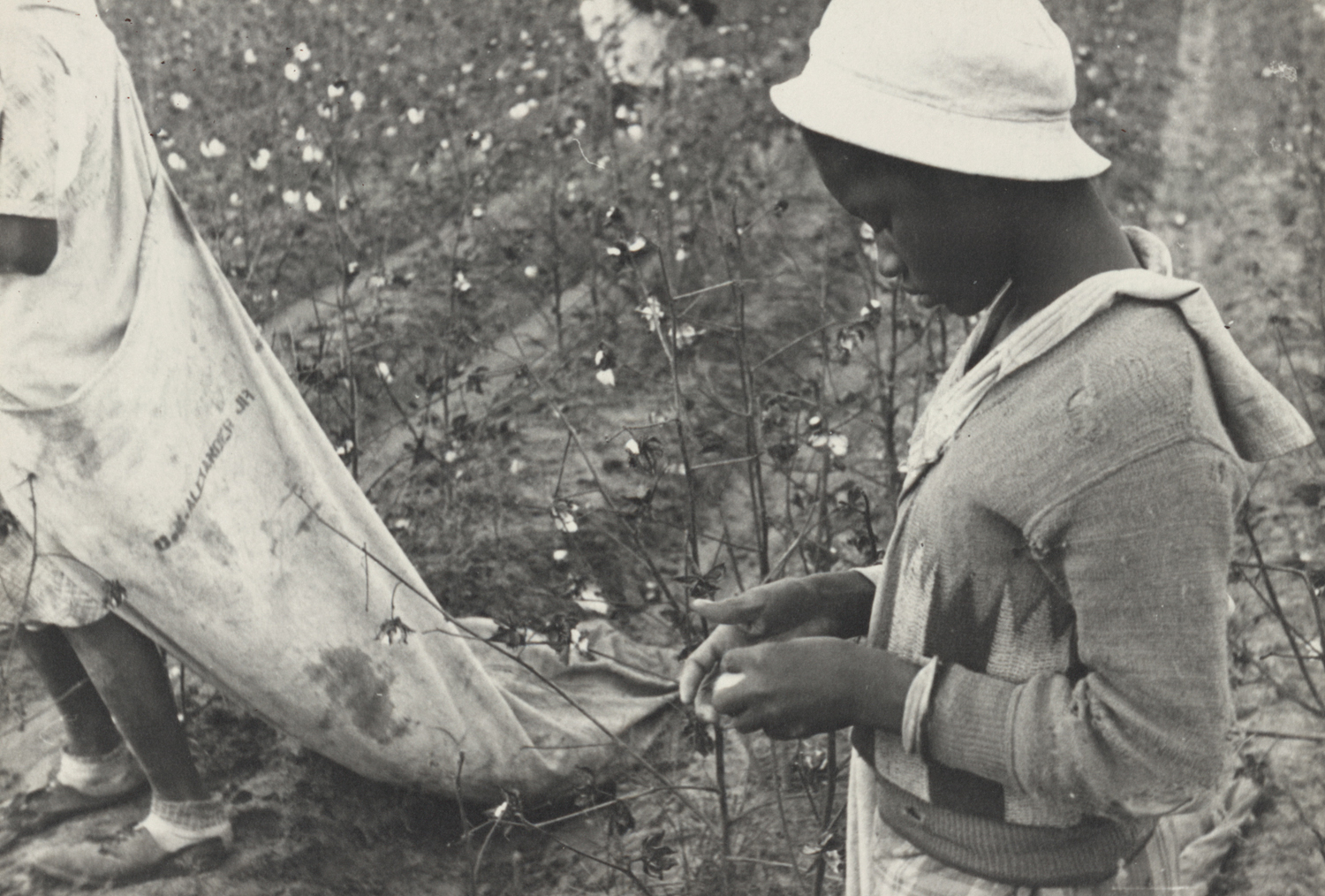 A young African American Young cotton picker in Arkansas during the Depression. (Buyenlarge/Getty Images)