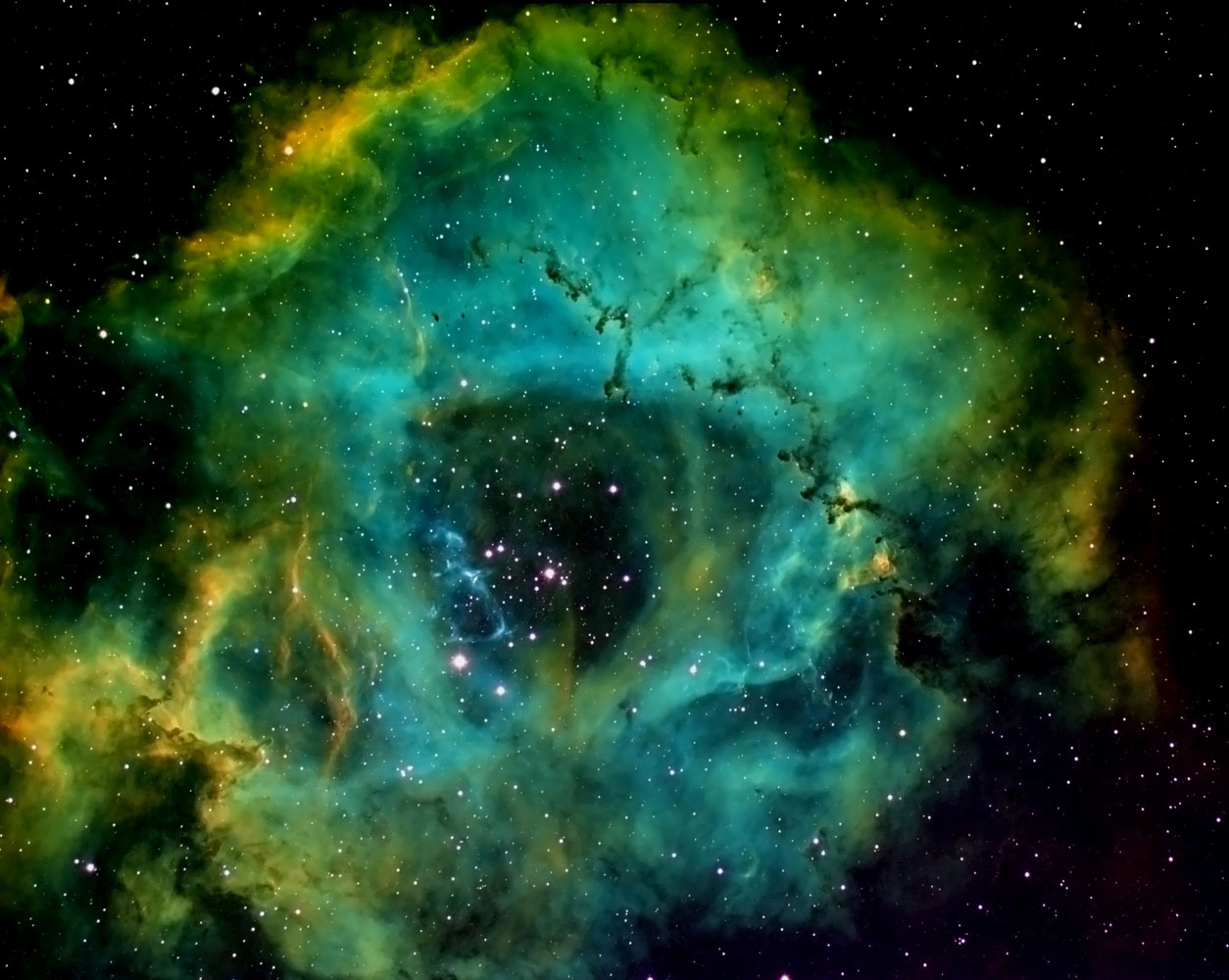 The Rosette nebula, also known as NGC 2237 or Caldwell 49, taken from Waukesha, Wisc., on Jan. 6, 2014.