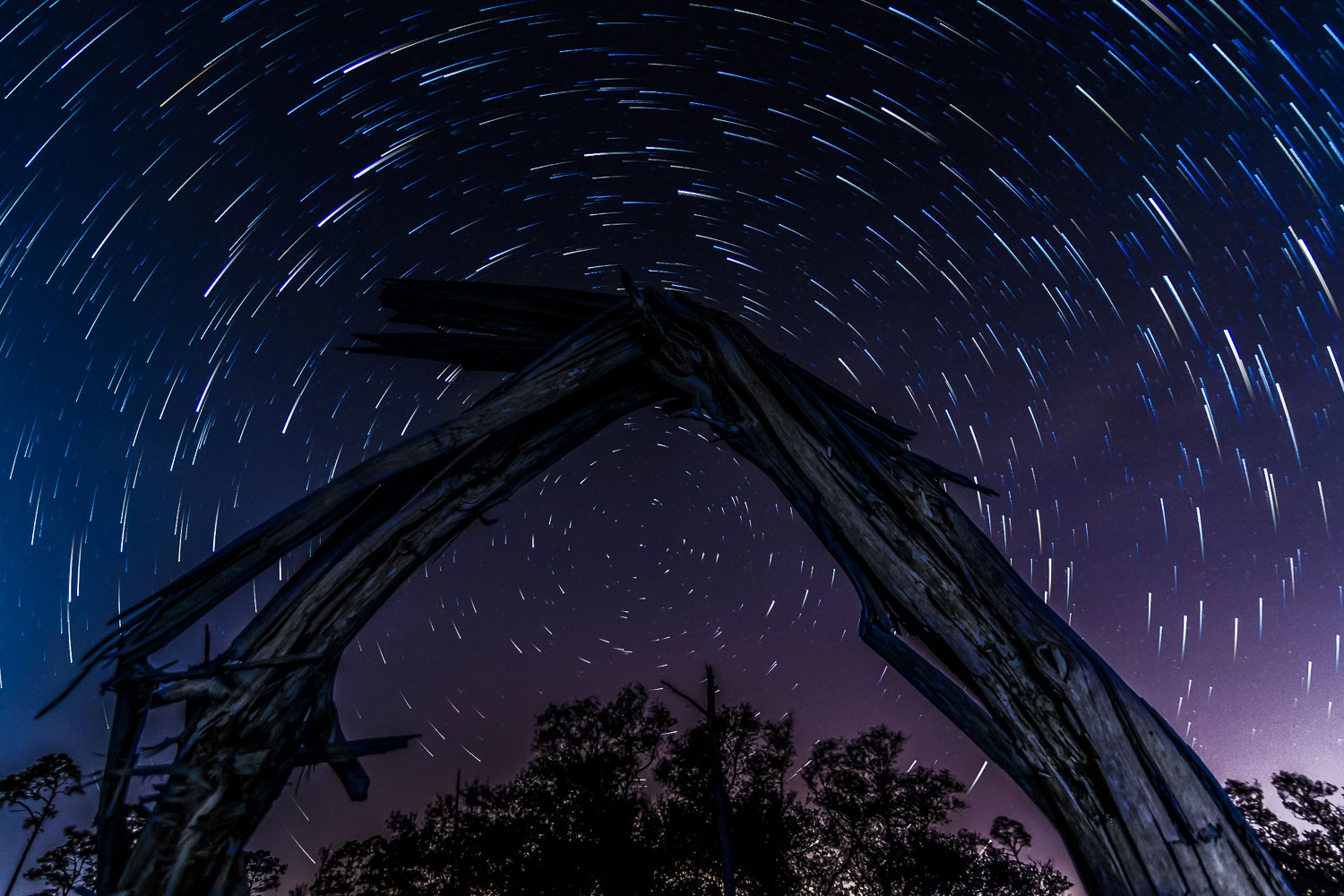 A time lapse showing star trails above Big Lagoon State Park in Pensacola, Fla., on March 30, 2014.