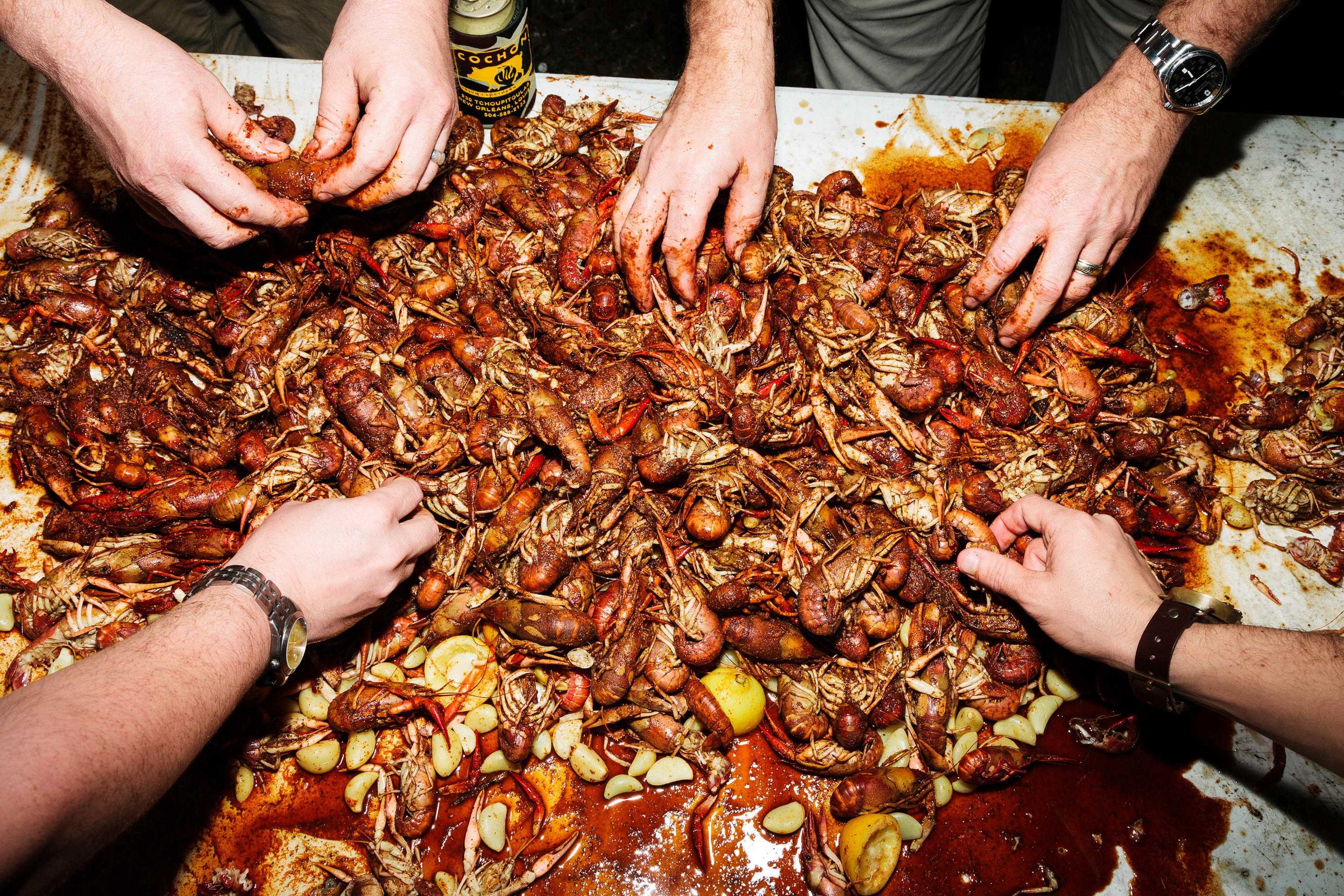 Crawfish boil on the banks of the Mississippi in New Orleans with chefs Donald Link and Stephen Stryjewski of Cochon restaurant. The crawfish are cooked with lemons, garlic, and salt, then tossed with Old Bay and Cajun spices before being dumped on a plastic table for eating.