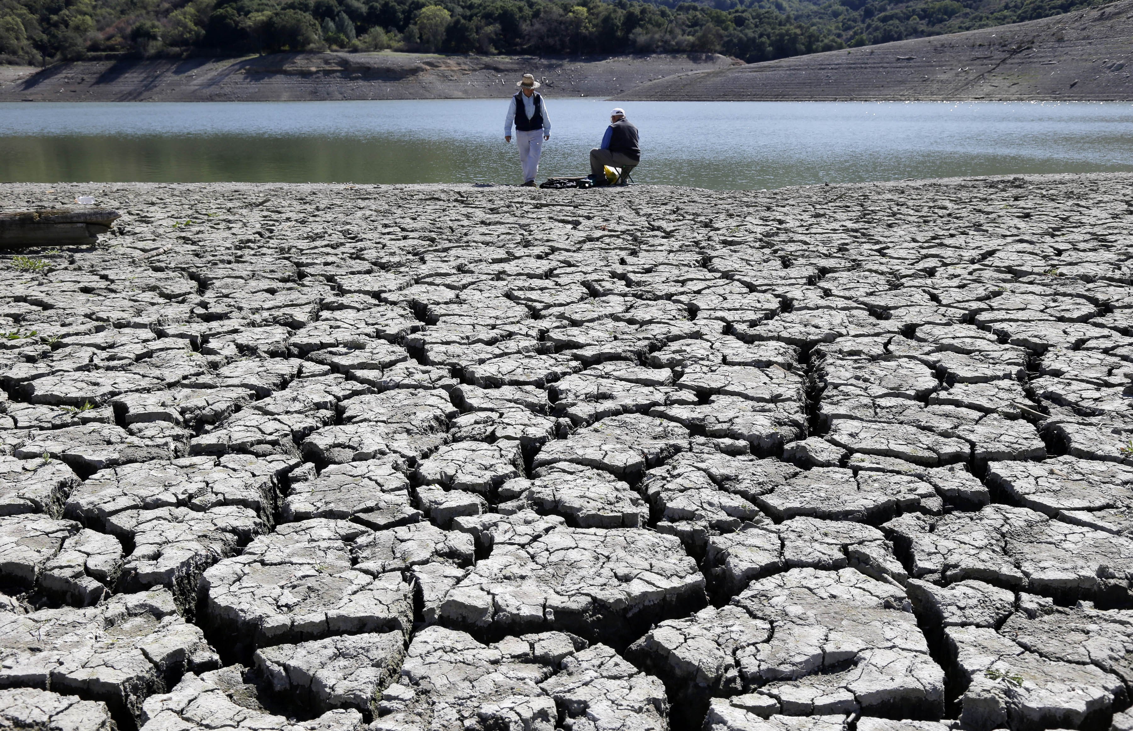 Cracks in the dry bed of the Stevens Creek Reservoir in Cupertino, Calif., on March 13, 2014. (Marcio Jose Sanchez—AP)