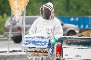 A beekeeper continues to collect bee hive containers scattered along I-95 near Newark, Delaware Wednesday, May 21, 2014.