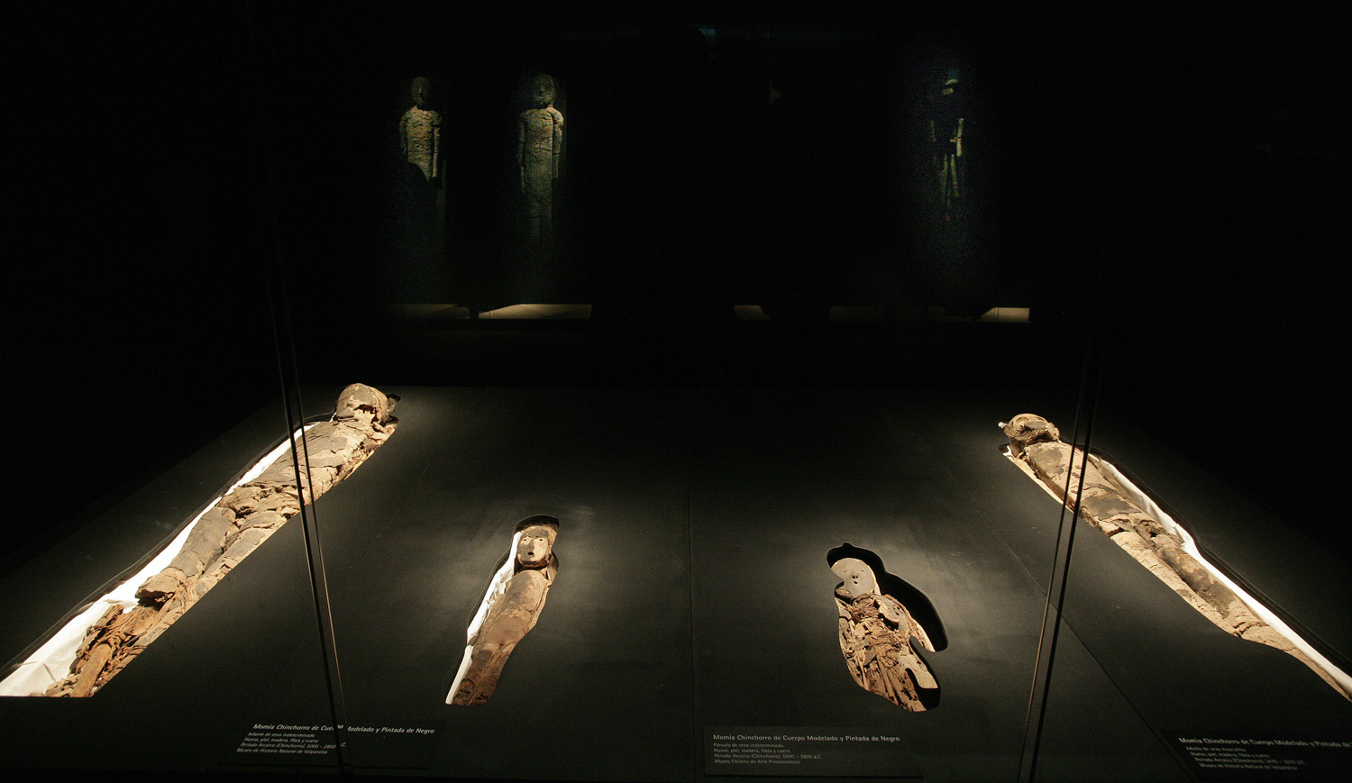 A group of Chinchorro mummies — dated between 5000 B.C. and 3000 B.C. — are on display during the exhibition "Arica, a Thousand-Year-Old Culture," on Aug. 27, 2008, in the cultural center of the La Moneda presidential palace in Santiago, Chile (Claudio Santana —AFP/Getty Images)