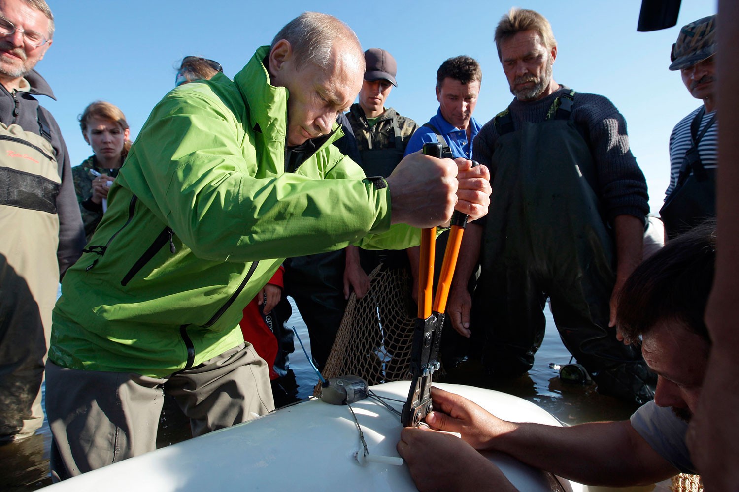 Russia's Prime Minister Putin attaches a satellite tracking tag to a Beluga whale named Dasha as he visits Chkalov island