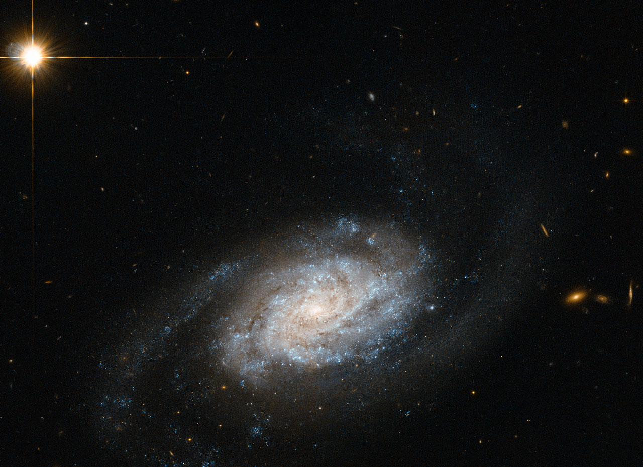 This image released on April 14, 2014 shows spiral galaxy NGC 3455, which lies some 65 million light-years away from us in the constellation of Leo (The Lion).
