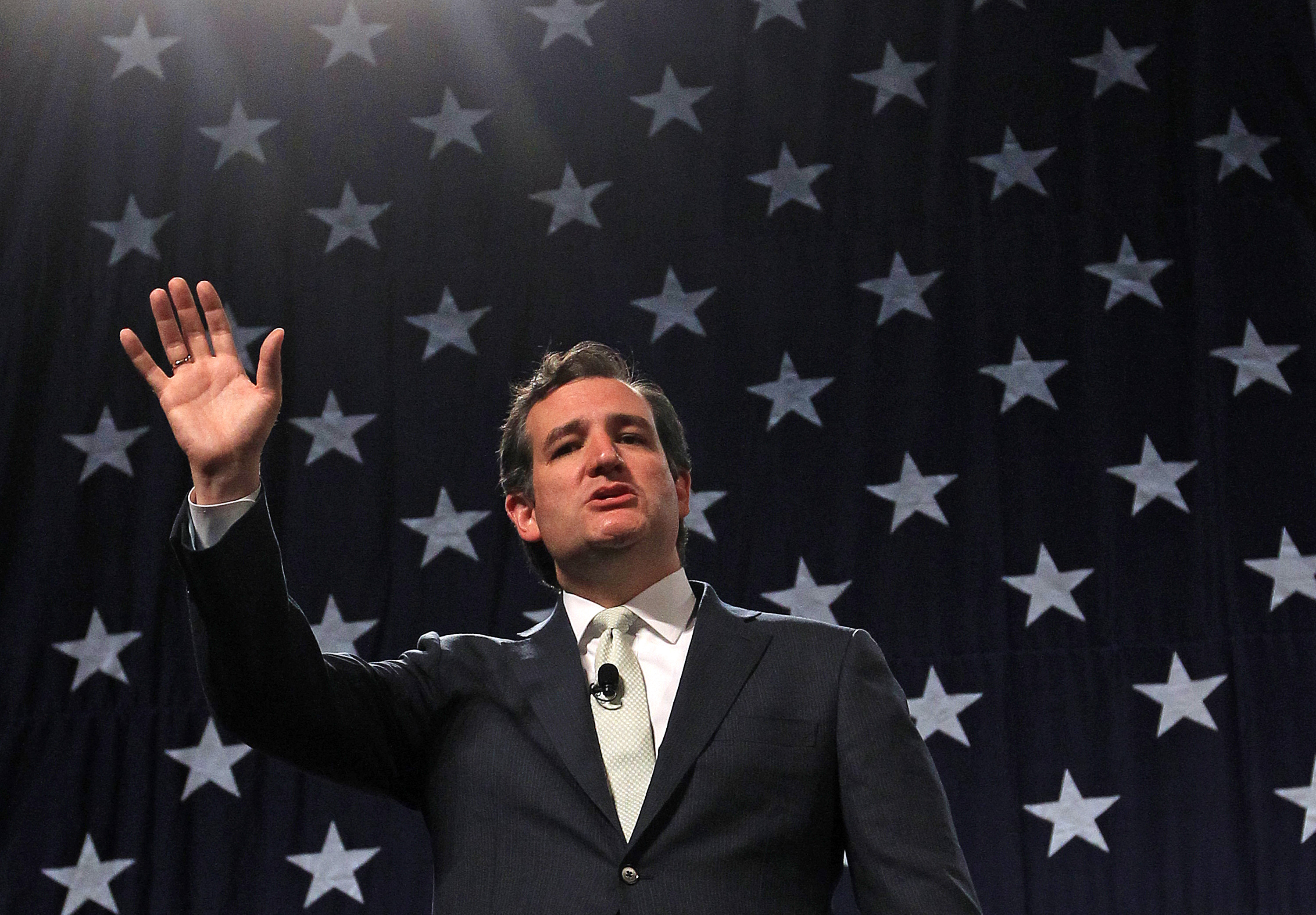 Republican U.S. Sen. Ted Cruz of Texas  addresses a crowd during a rally at the Western Republican Leadership Conference on April 25, 2014, in Sandy, Utah. (Rick Bowmer—AP)