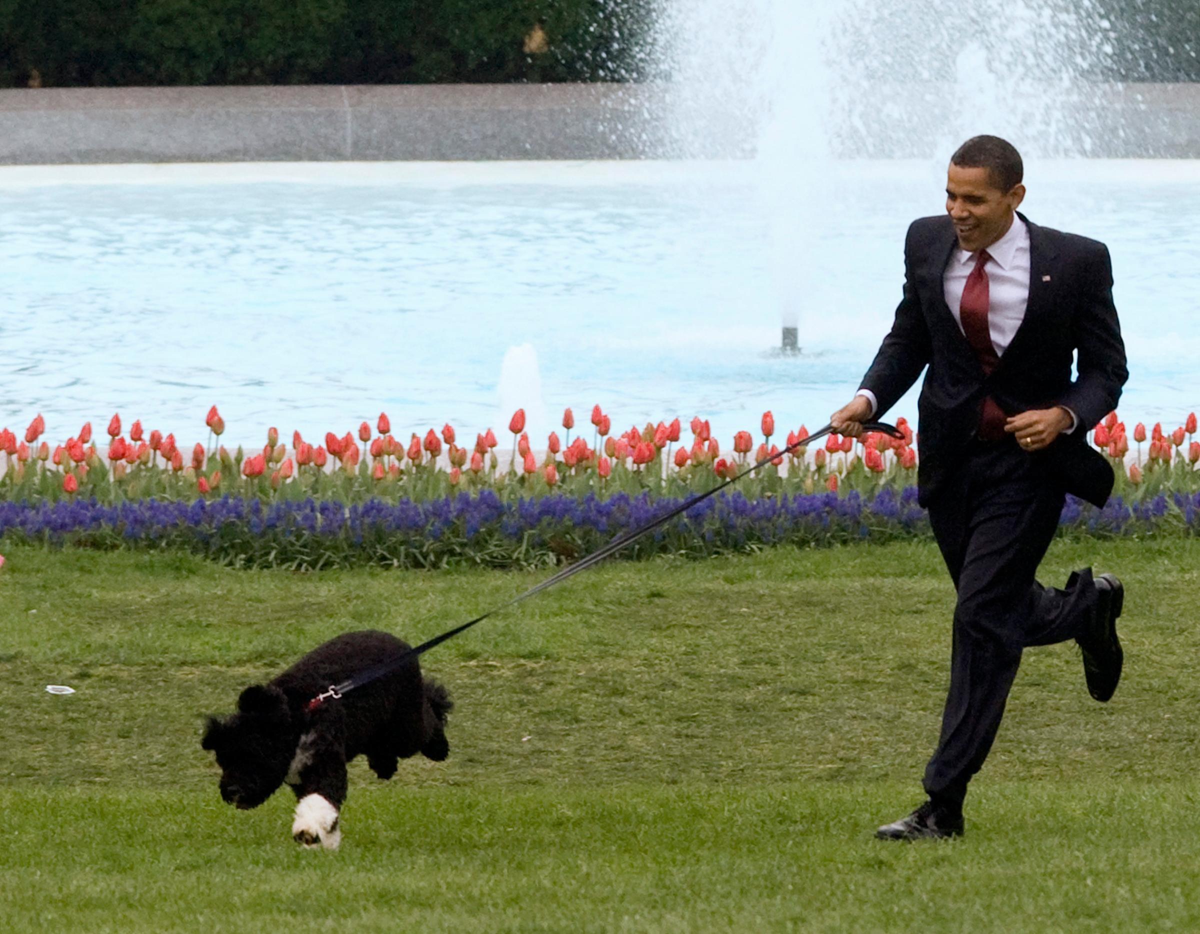 U.S. President Barack Obama presents the first family's new dog Bo at the White House