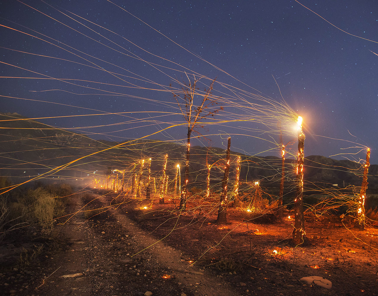 A long exposure image of embers flying off burnt out  trees following the wind driven wildfire ranging in the mountain area near Rancho Cucamonga late on April 30, 2014. (Stuart Palley—EPA)