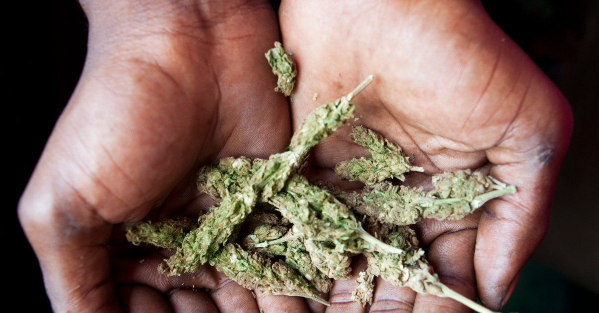 Jamaica to Decriminalize Weed | Time