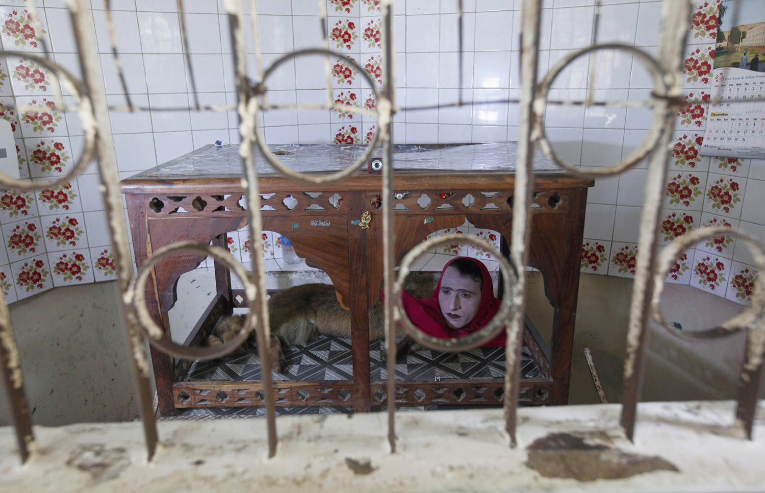 An entertainer performing as the character  Mumtaz Begum , a fox-human hybrid creature, sits inside a wooden canopy in a small room called Mumtaz Mahal (Mumtaz Palace), to amuse visitors at Karachi Zoo in Karachi, Pakistan on June 20, 2014.