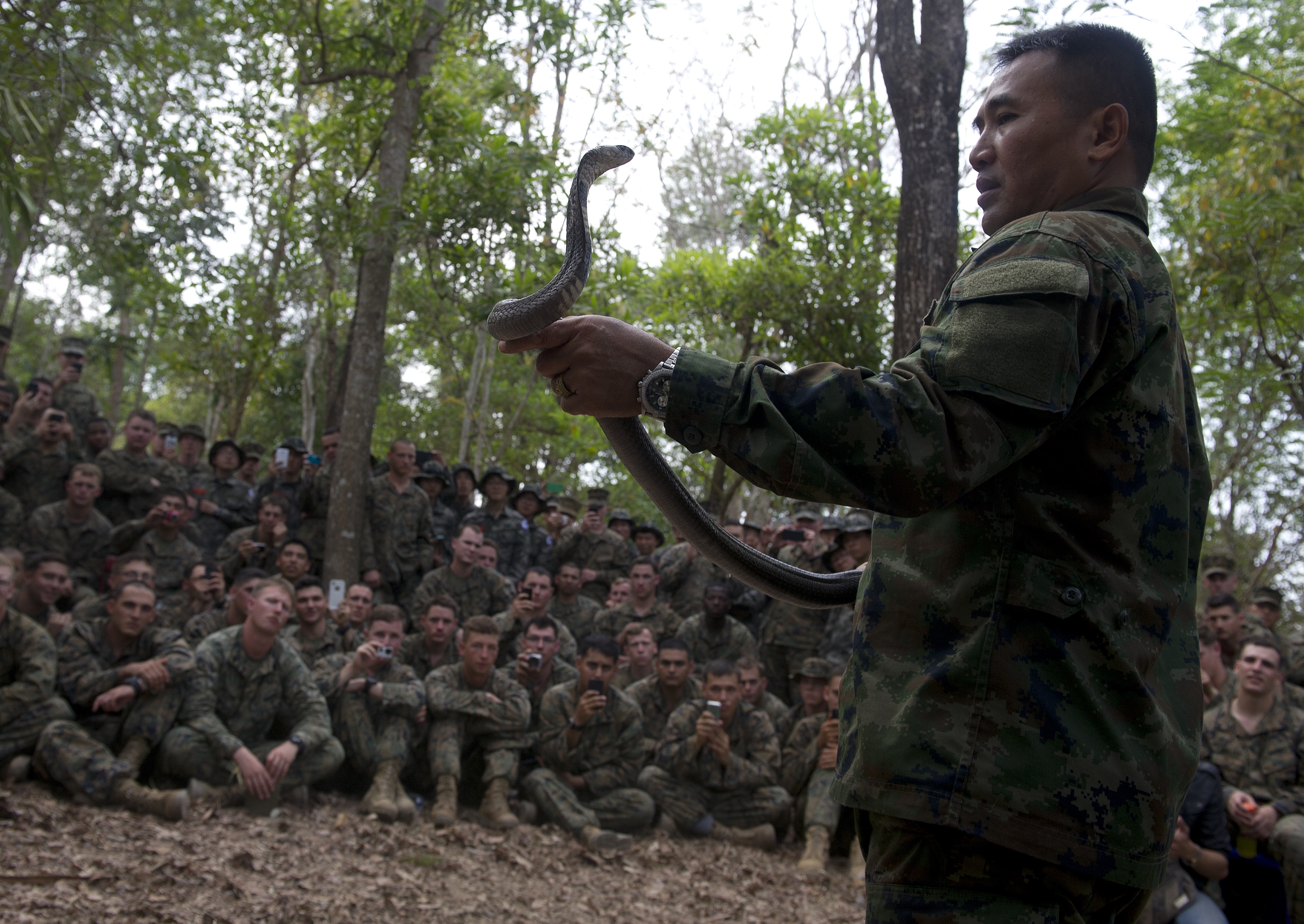 A Thai Marine shows how to catch a cobra as U.S. Marines look on during a jungle-survival program at a navy base in Chanthaburi province, Thailand, on Feb. 15, 2014 (Pornchai Kittiwongsakul—AFP/Getty Images)