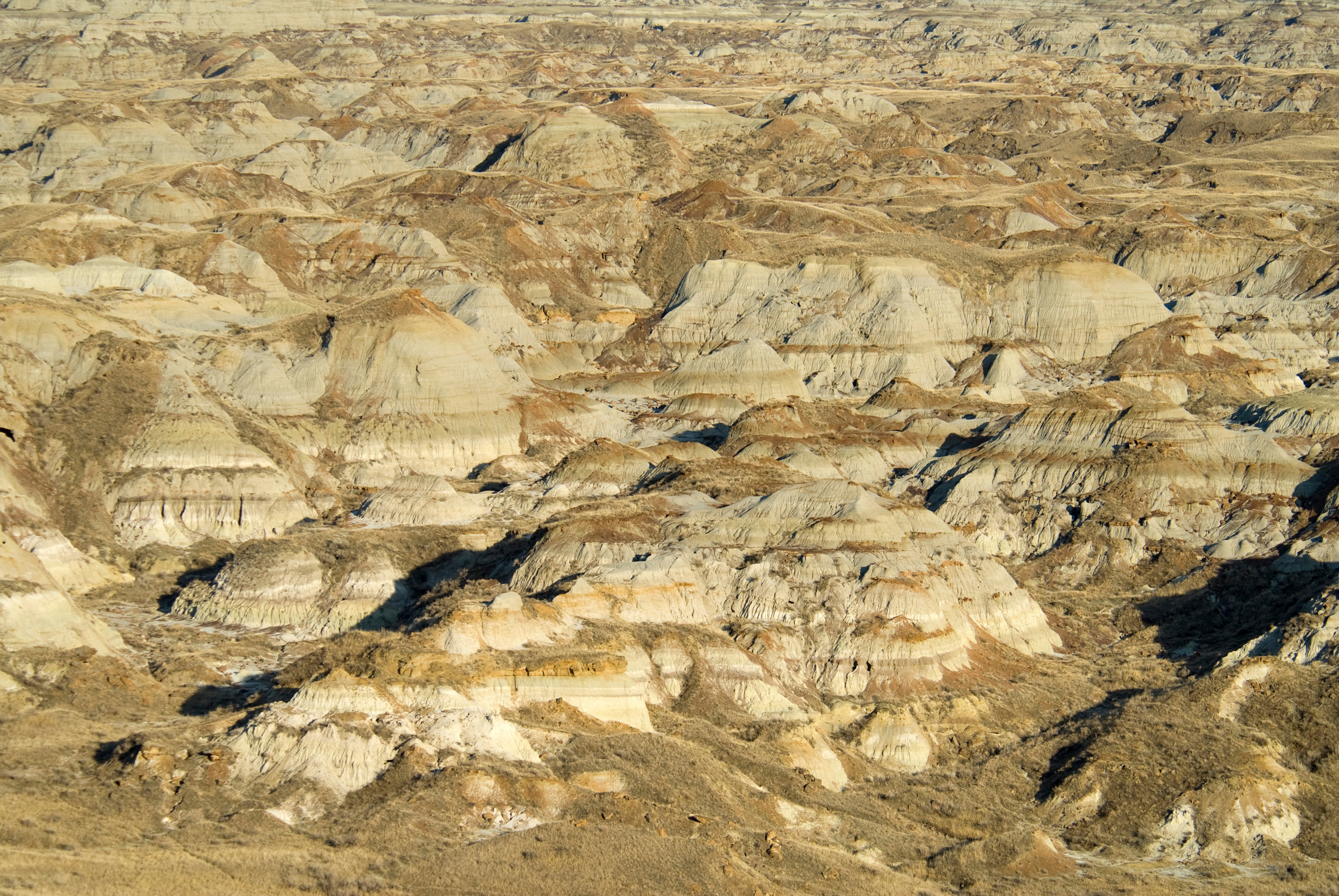 The Dinosaur Provincial Park in Alberta is one of the most important fossil beds in the world (Eye Ubiquitous—UIG via Getty Images)