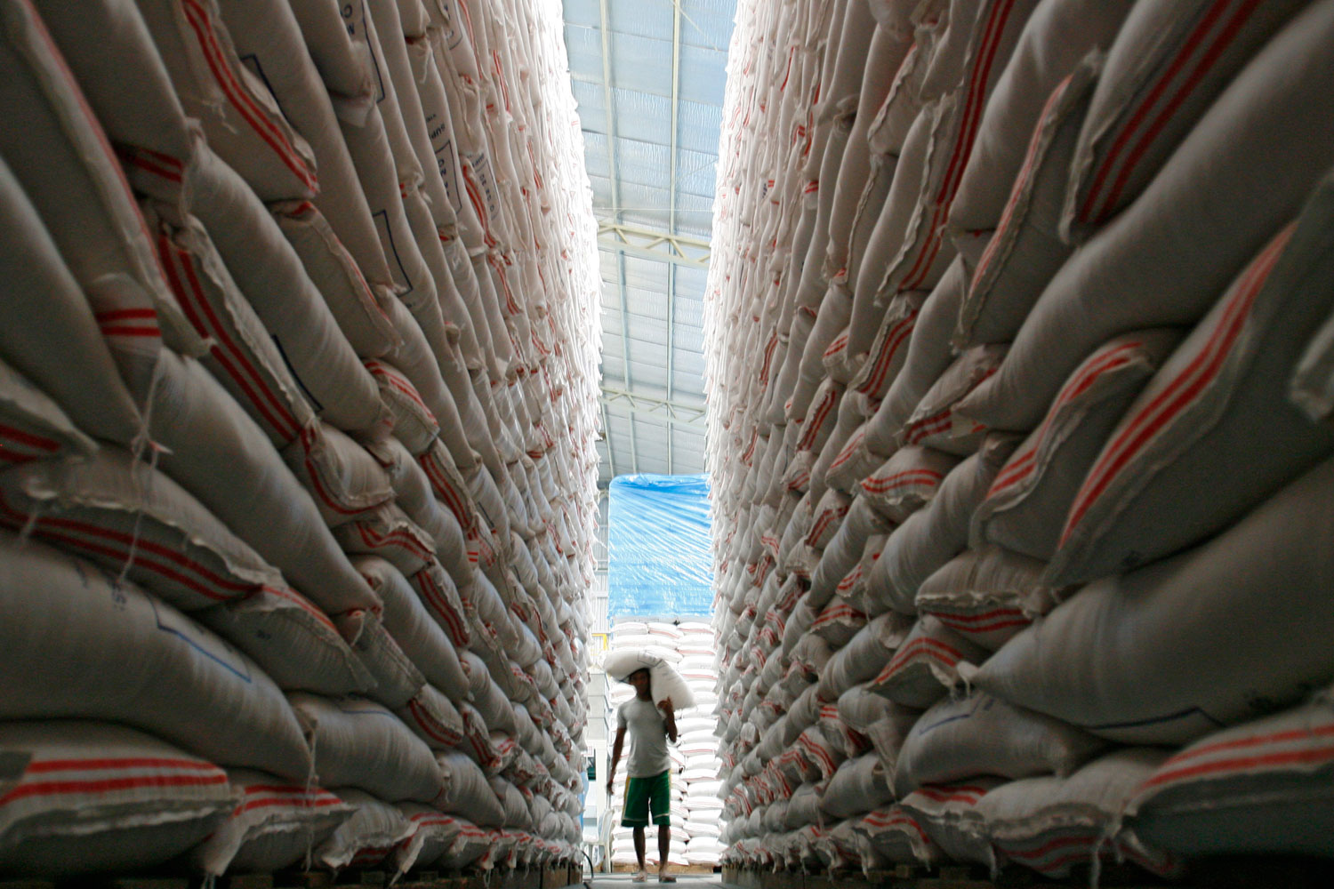 A worker carries a sack of rice inside the National Food Authority Warehouse in Quezon City, the Philippines on Aug. 16, 2010. Farm production in the country went down 2.59 percent in the first half due to the El Nino phenomenon,