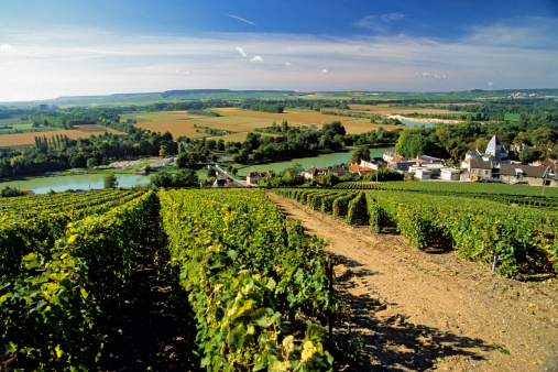 France Opposes Wine Domain
