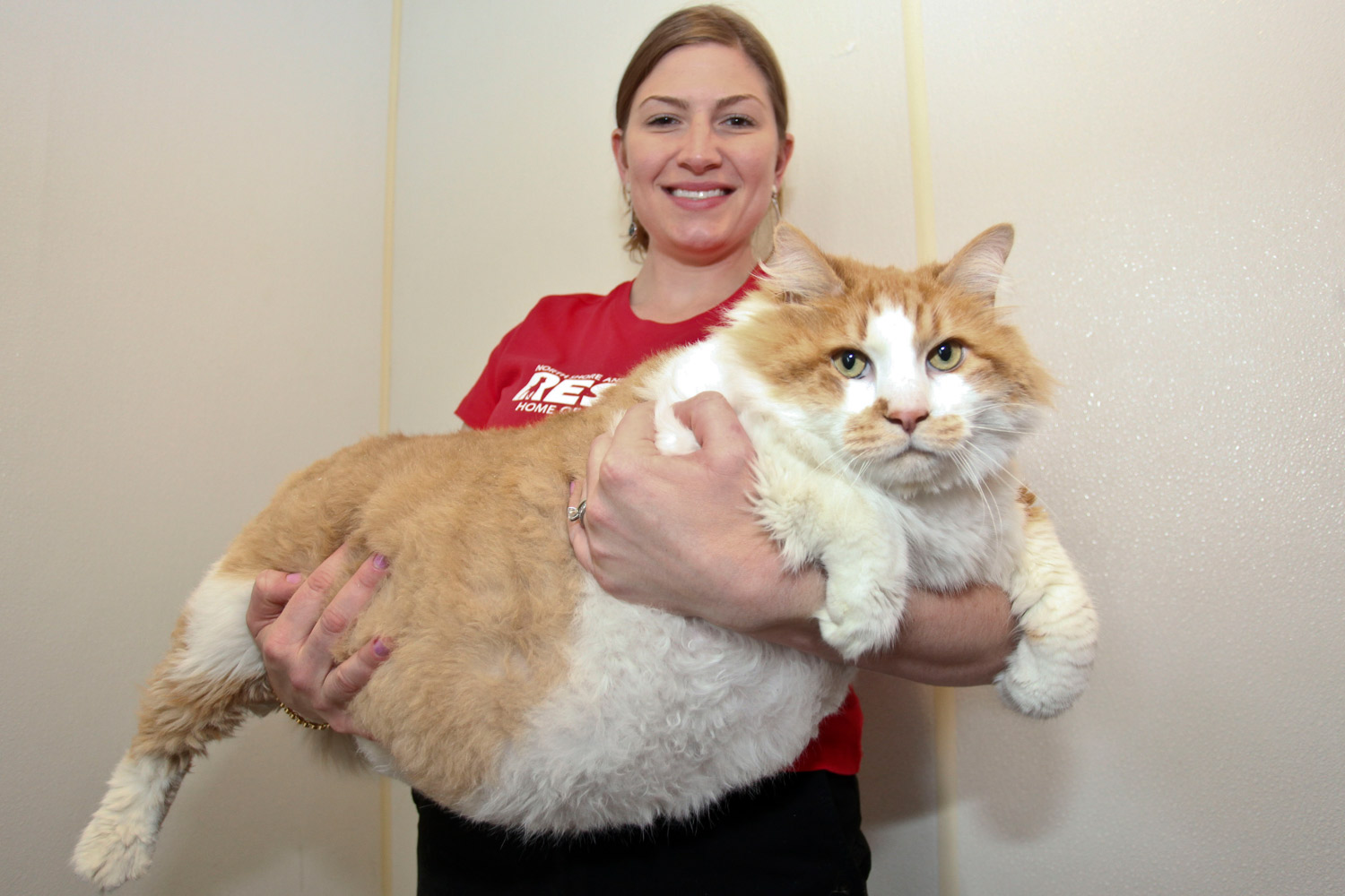 Janet Ciminelli of North Shore Animal League of America holds Garfield at Long Island on June 4, 2012 in New York City. (Laurentiu Garofeanu / Barcroft USA / Barcoft Media / Getty Images)
